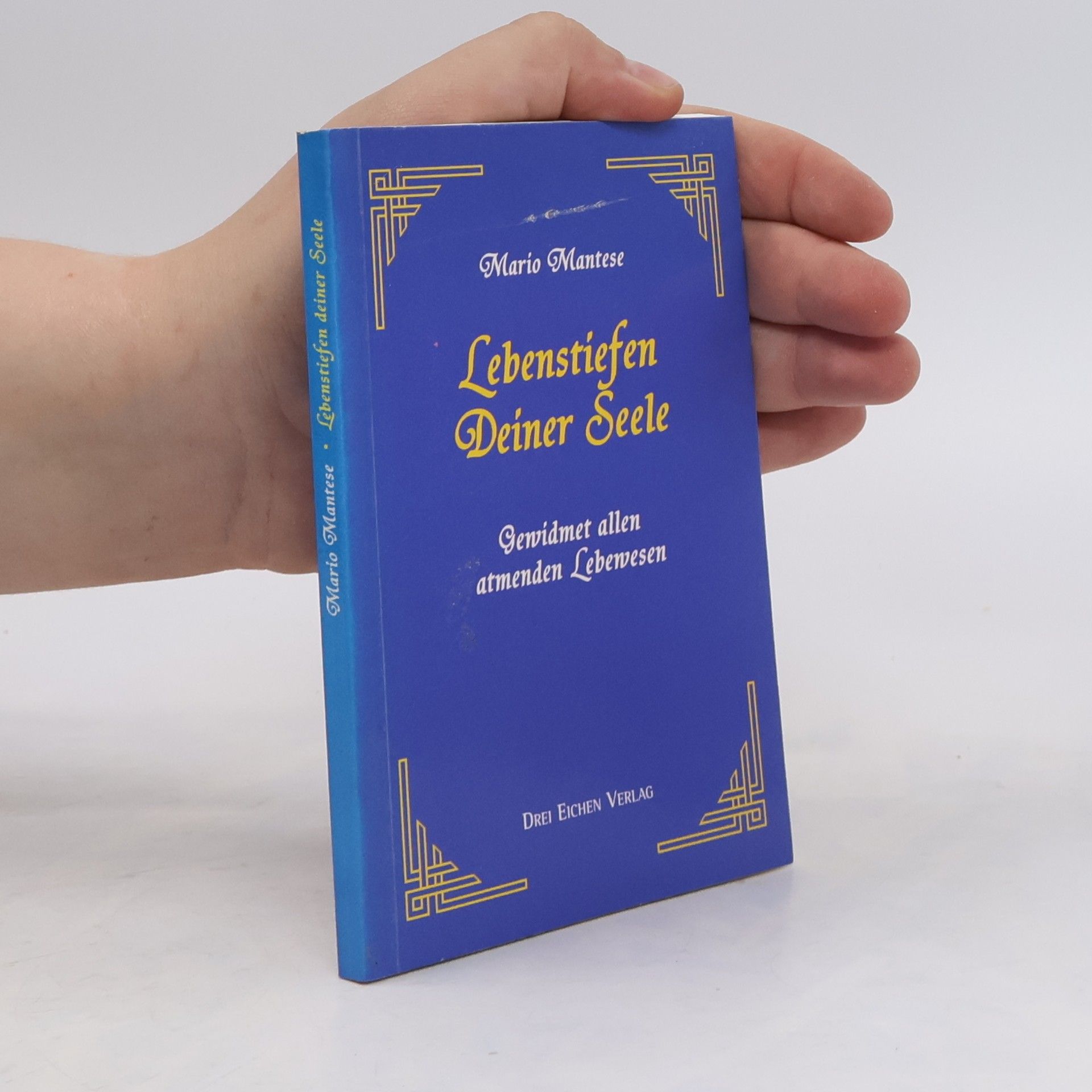 Knefeli-Zemp Lebenstiefen Deiner Seele