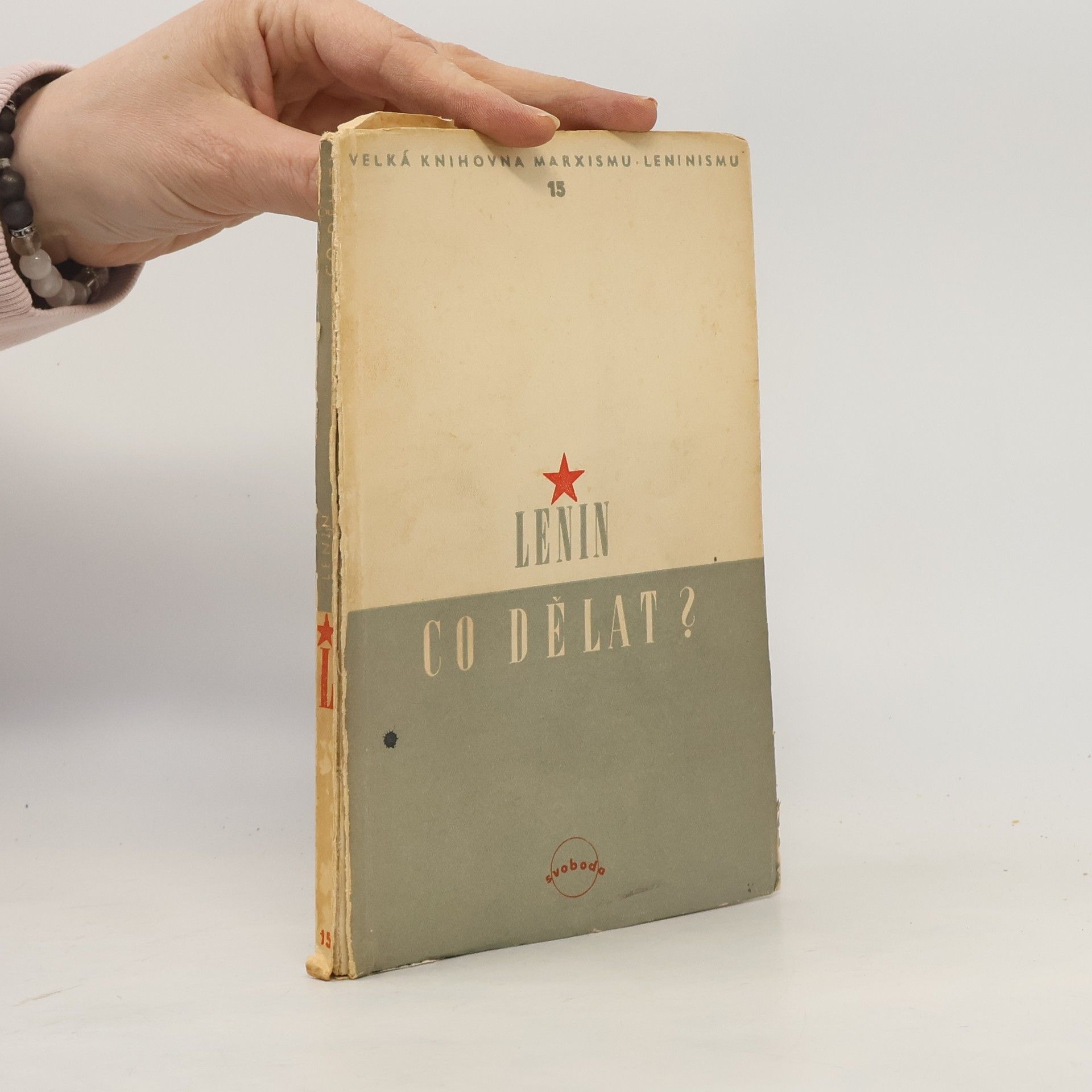 Vladimir Lenin Co dělat? Palčivé otázky našeho hnutí