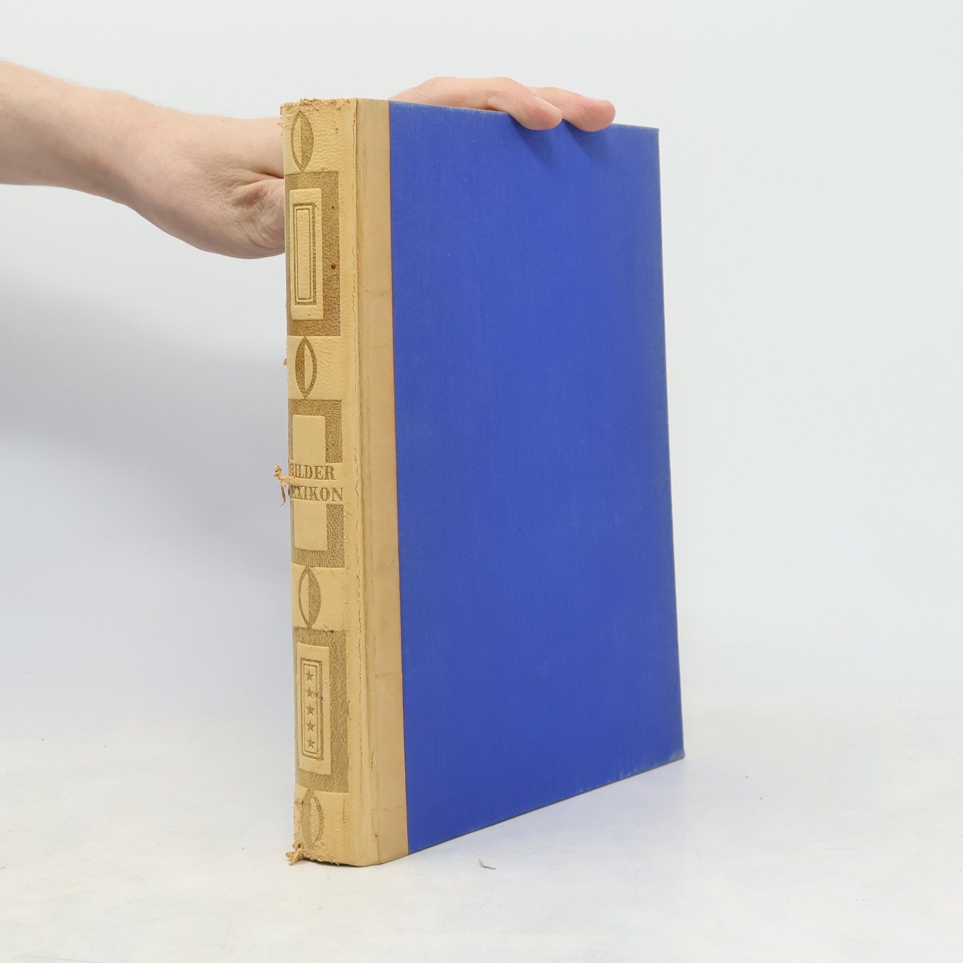 Kolektiv autorů Bilder Lexikon Sexualwissenschaft