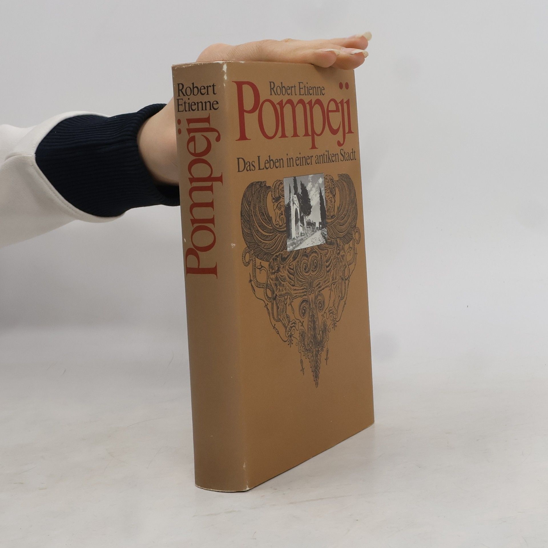 Robert Étienne Pompeji. Das Leben in einer antiken Stadt