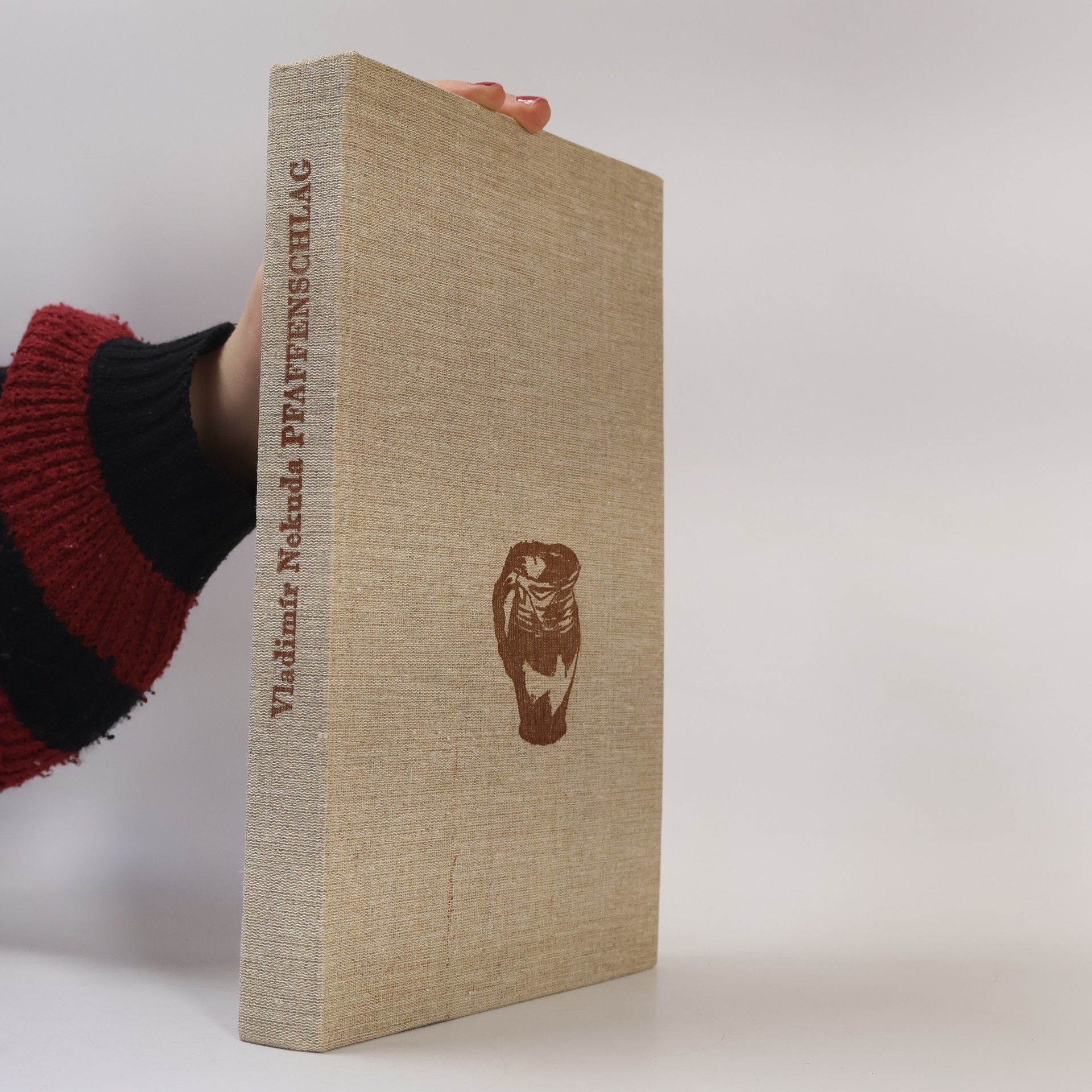 Vladimír Nekuda Pfaffenschlag. Zaniklá středověká ves u Slavonic