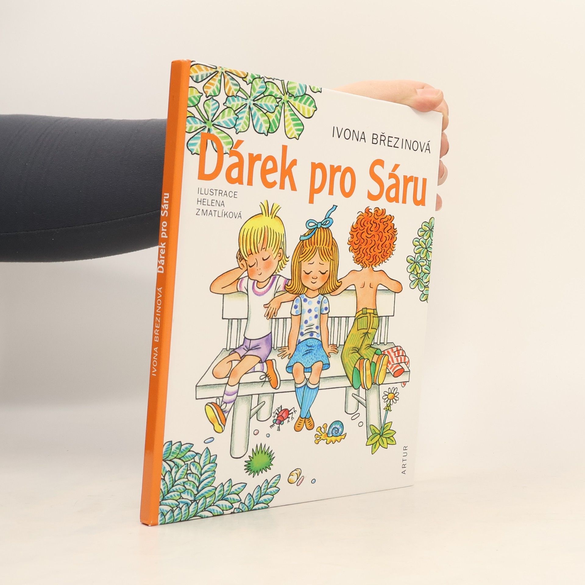 Ivona Březinová Dárek pro Sáru