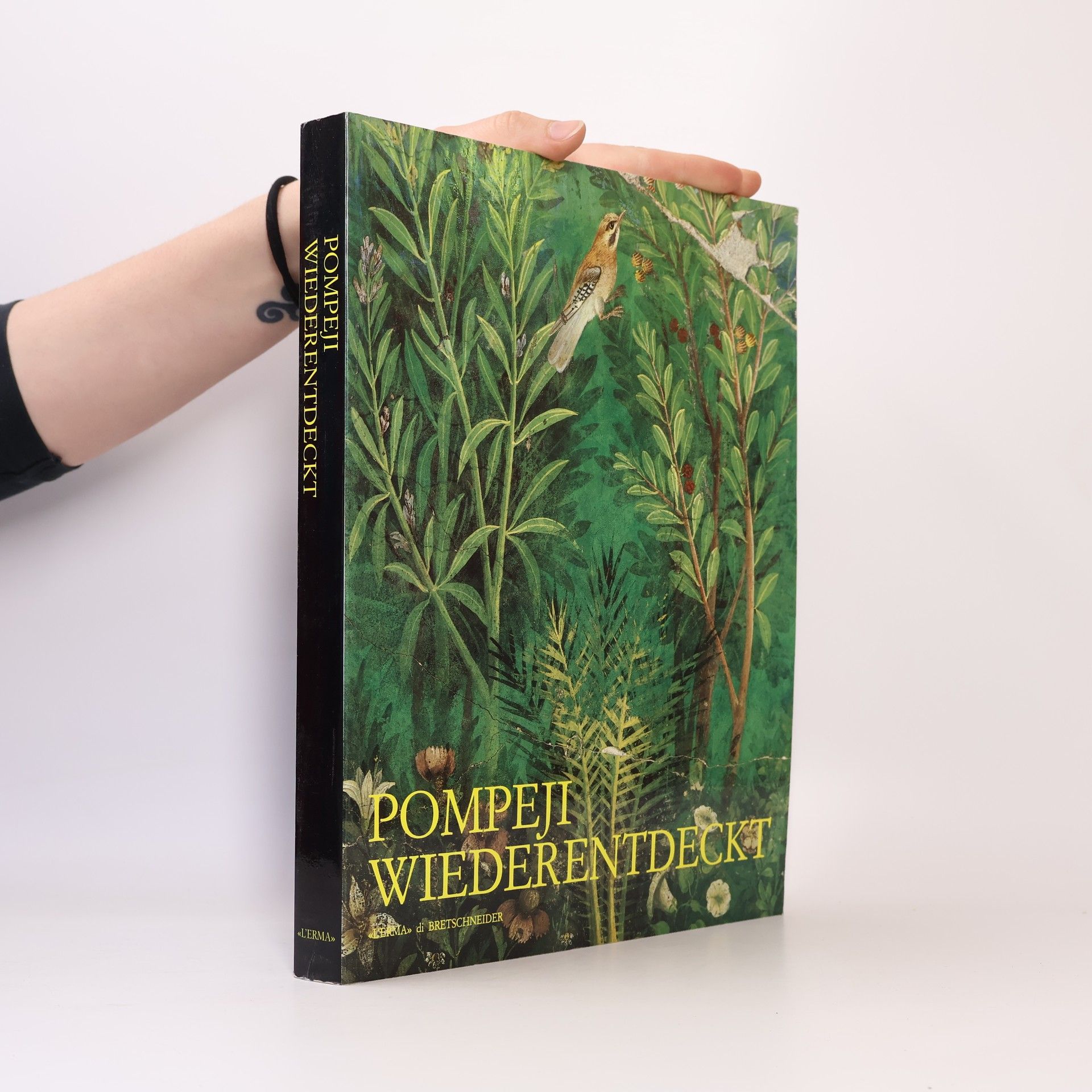 Luisa Franchi dellOrto Pompeji wiederentdeckt