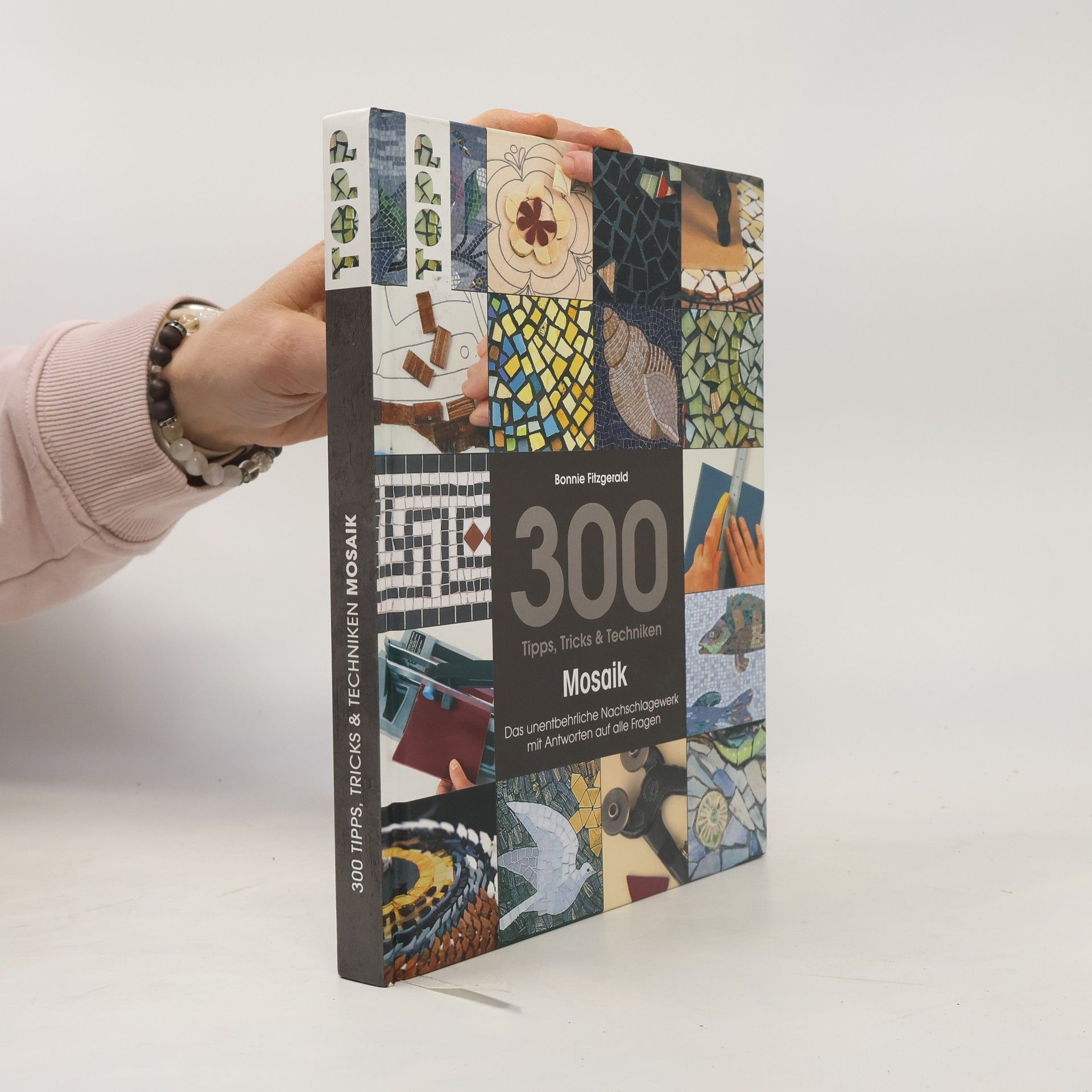 Bonnie Fitzgerald 300 Tipps, Tricks & Techniken Mosaik