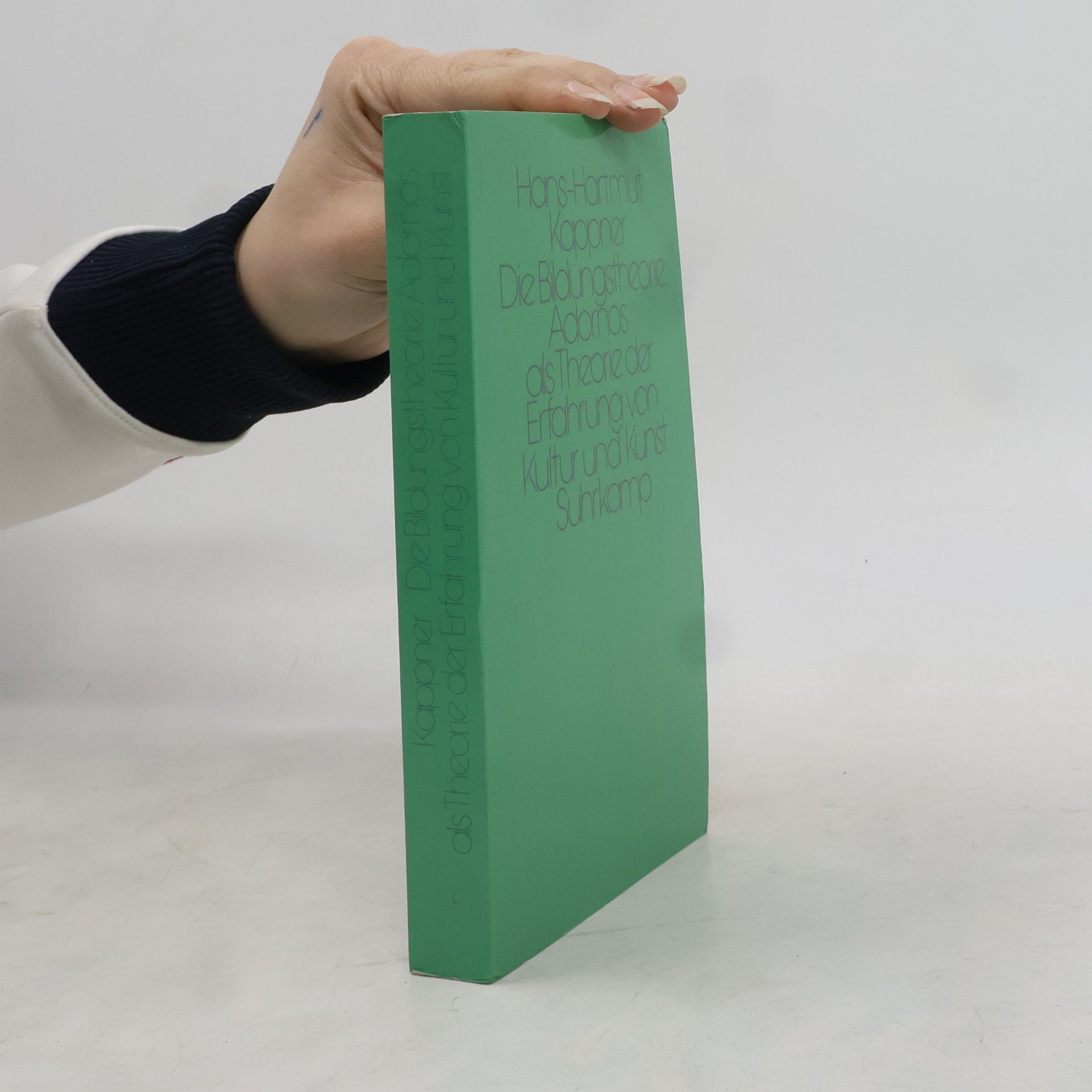 Hans-Hartmut Kappner Die Bildungstheorie Adornos als Theorie der Erfahrung von Kultur und Kunst