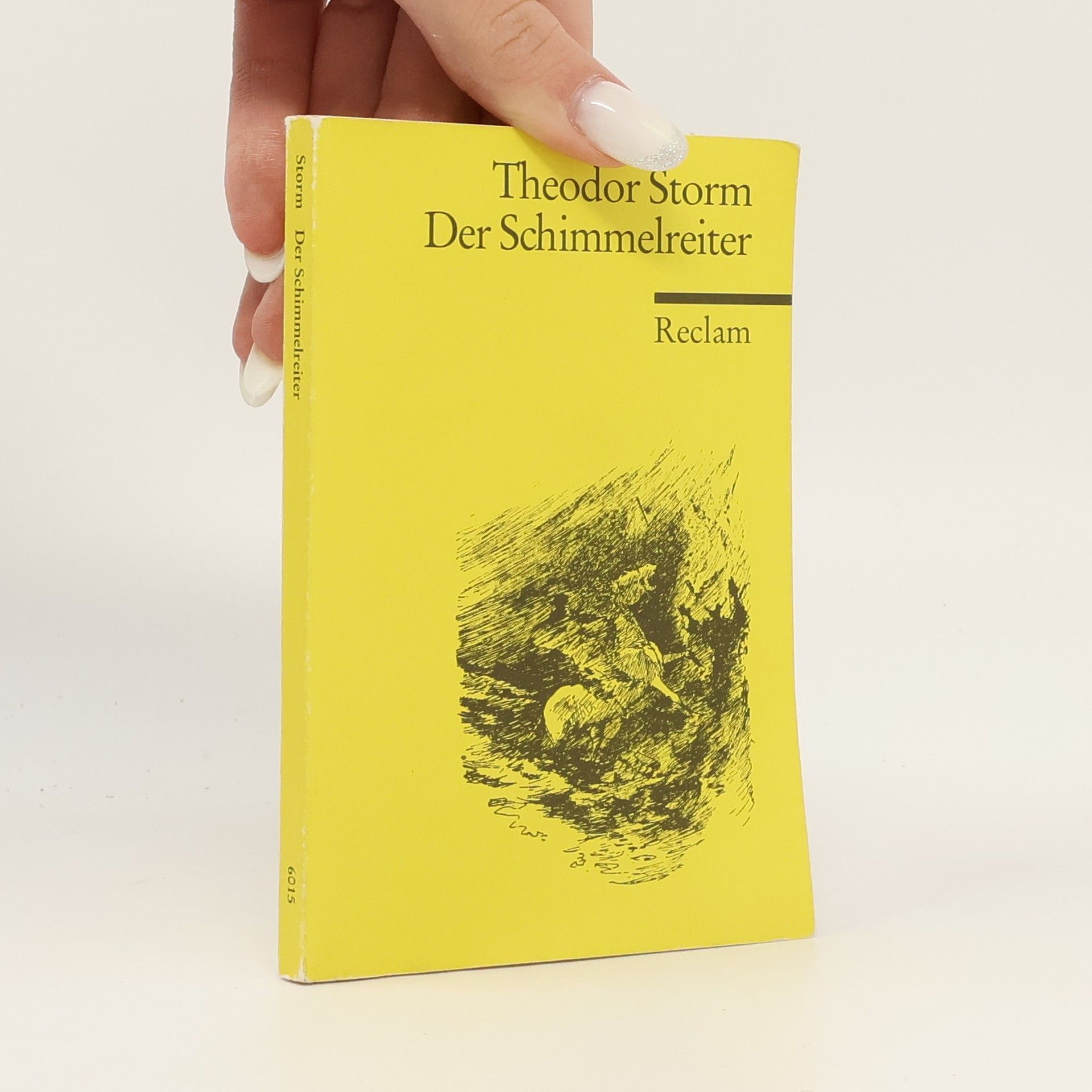 Theodor Storm Der Schimmelreiter