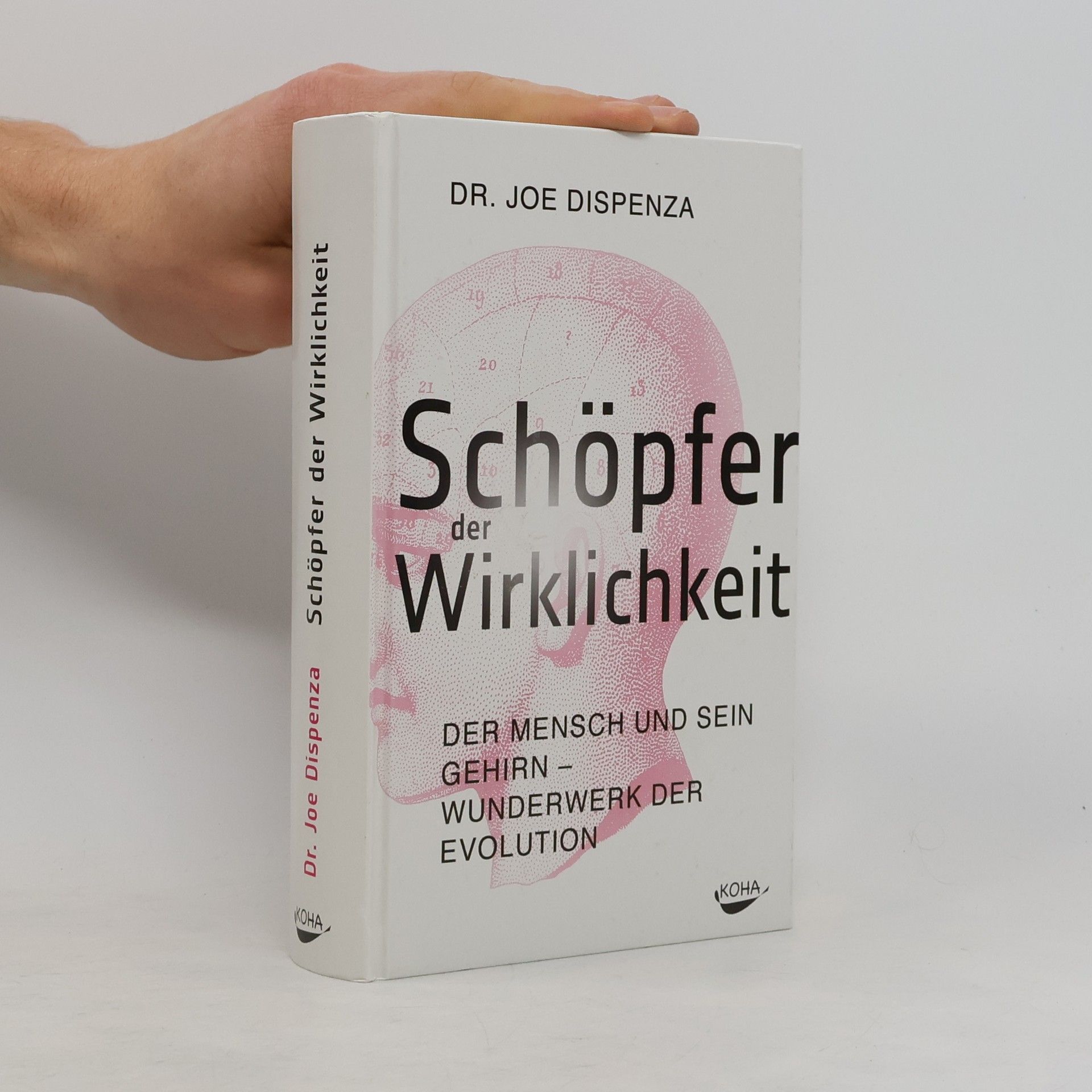 Joe Dispenza Schöpfer der Wirklichkeit