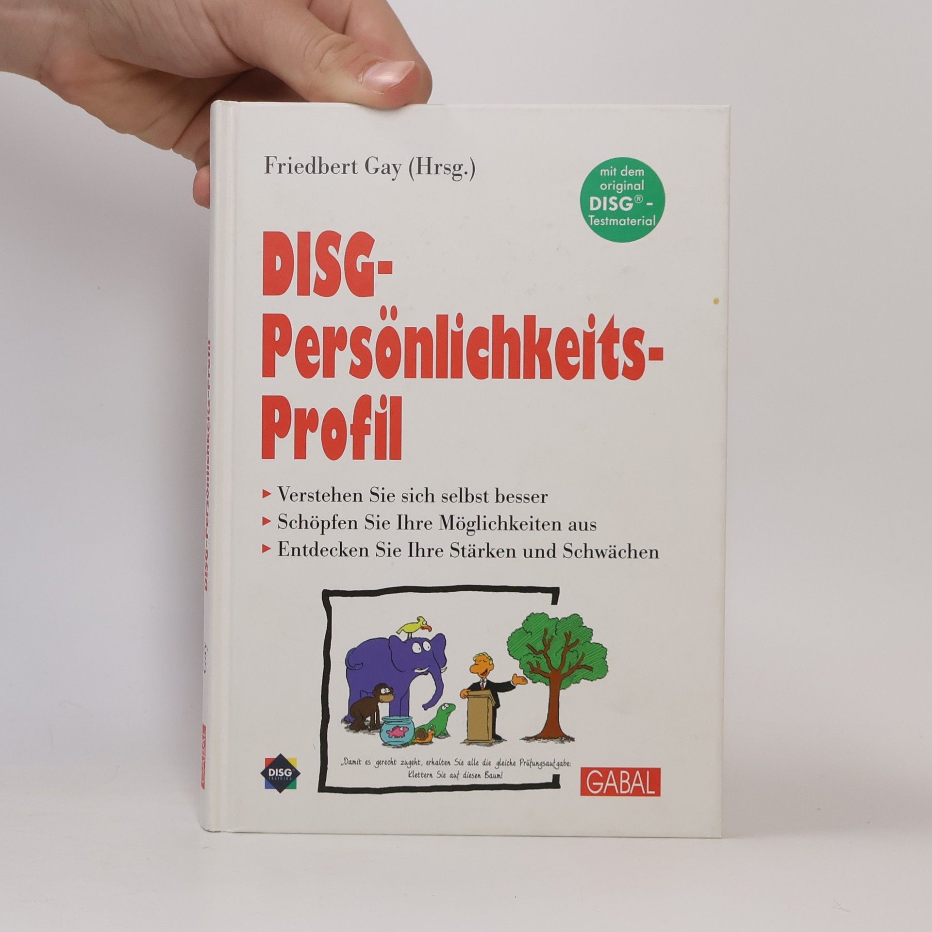 Friedbert Gay DISG-Persönlichkeits-Profil
