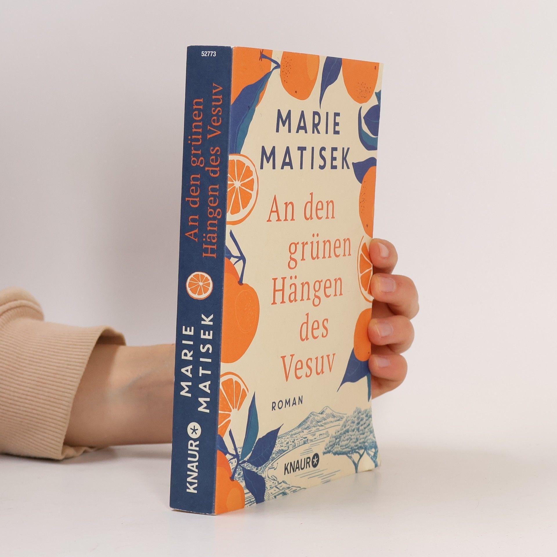 Marie Matisek An den grünen Hängen des Vesuv