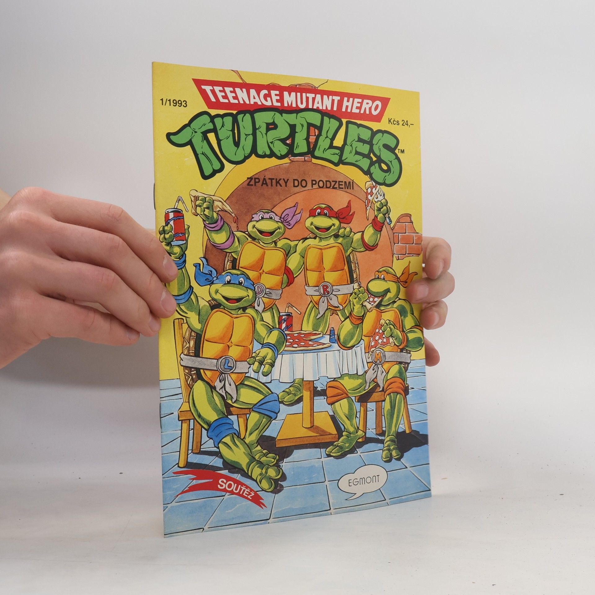 Dean Clarrain Teenage Mutant Hero Turtles #13