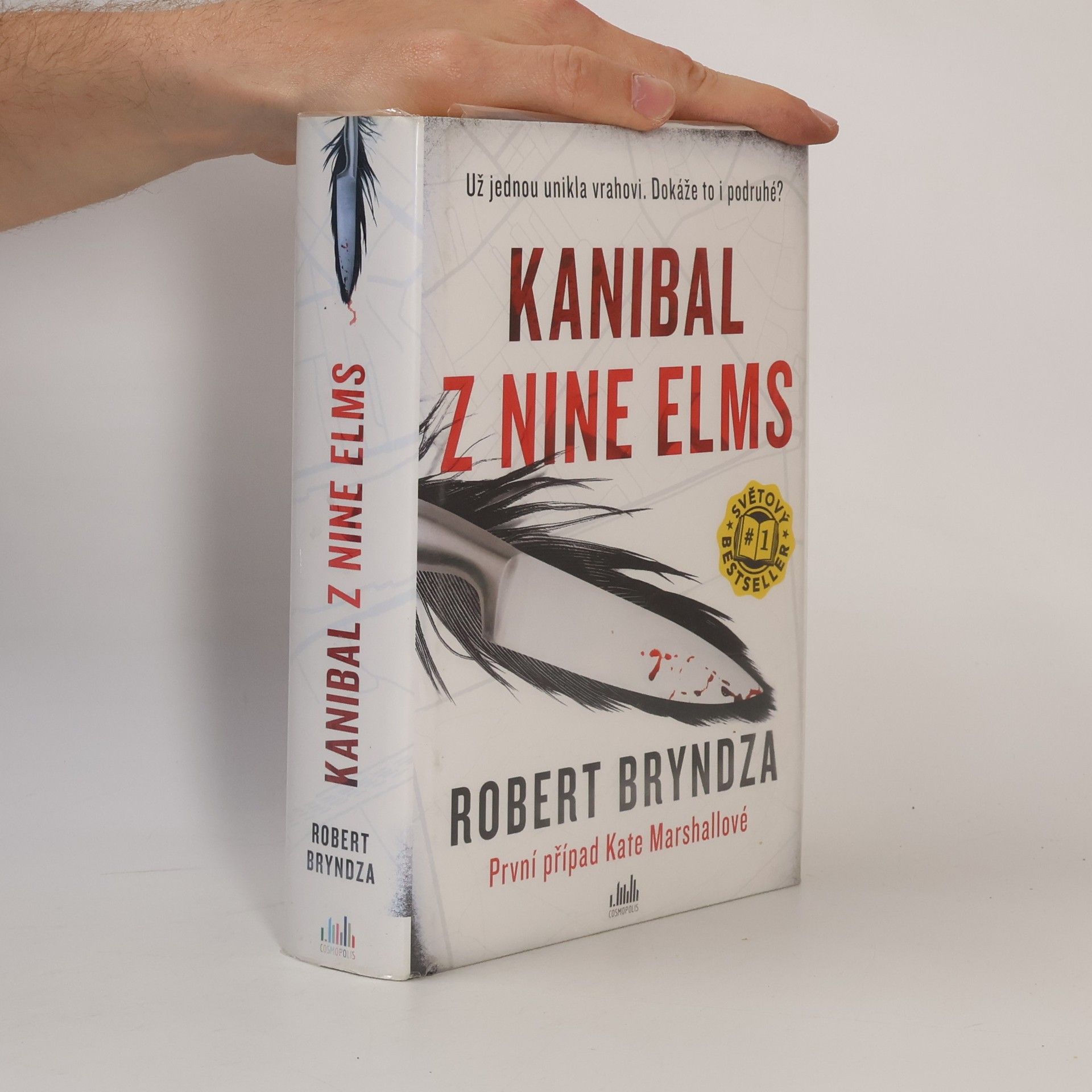 Robert Bryndza Kanibal z Nine Elms