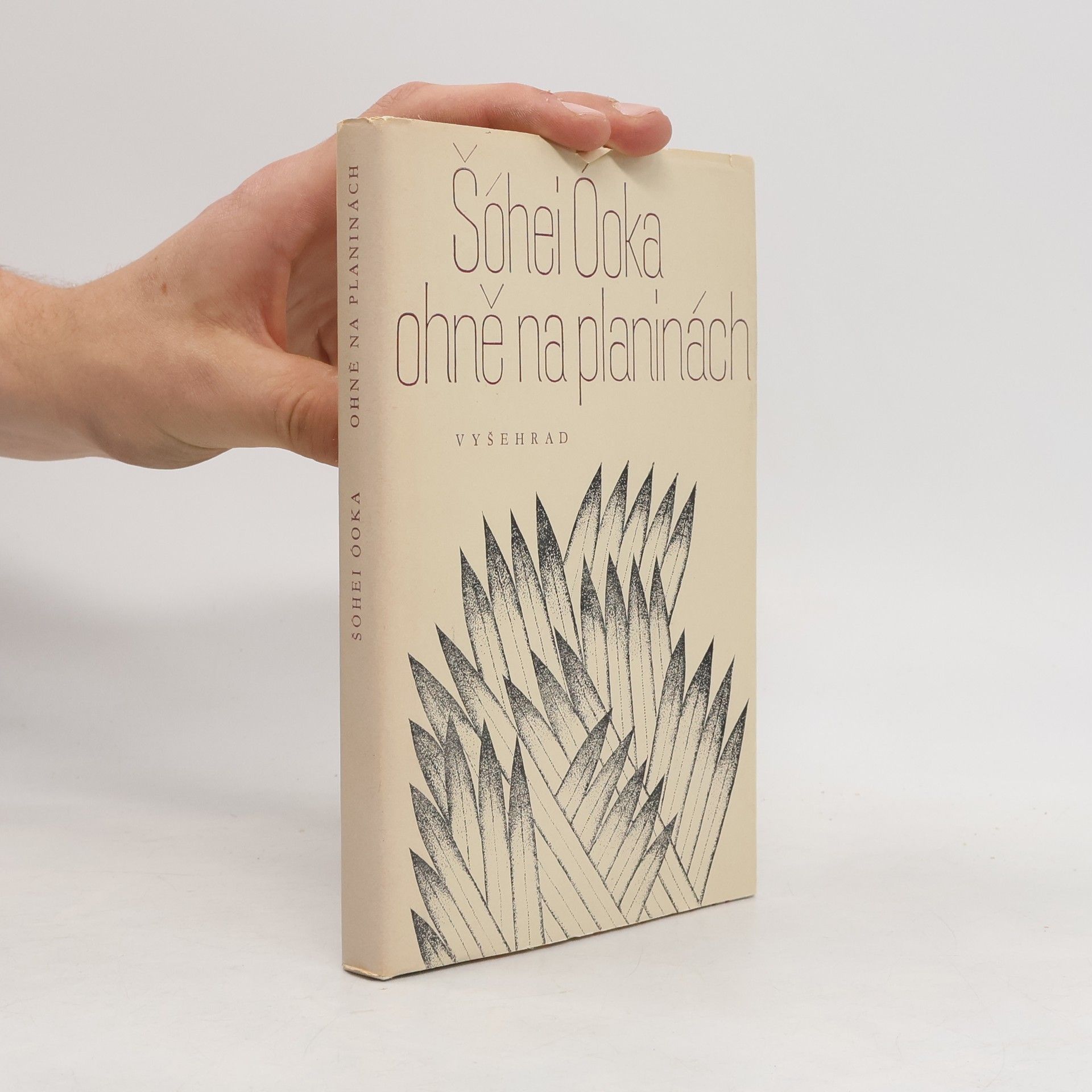 Shōhei Ōoka Ohně na planinách
