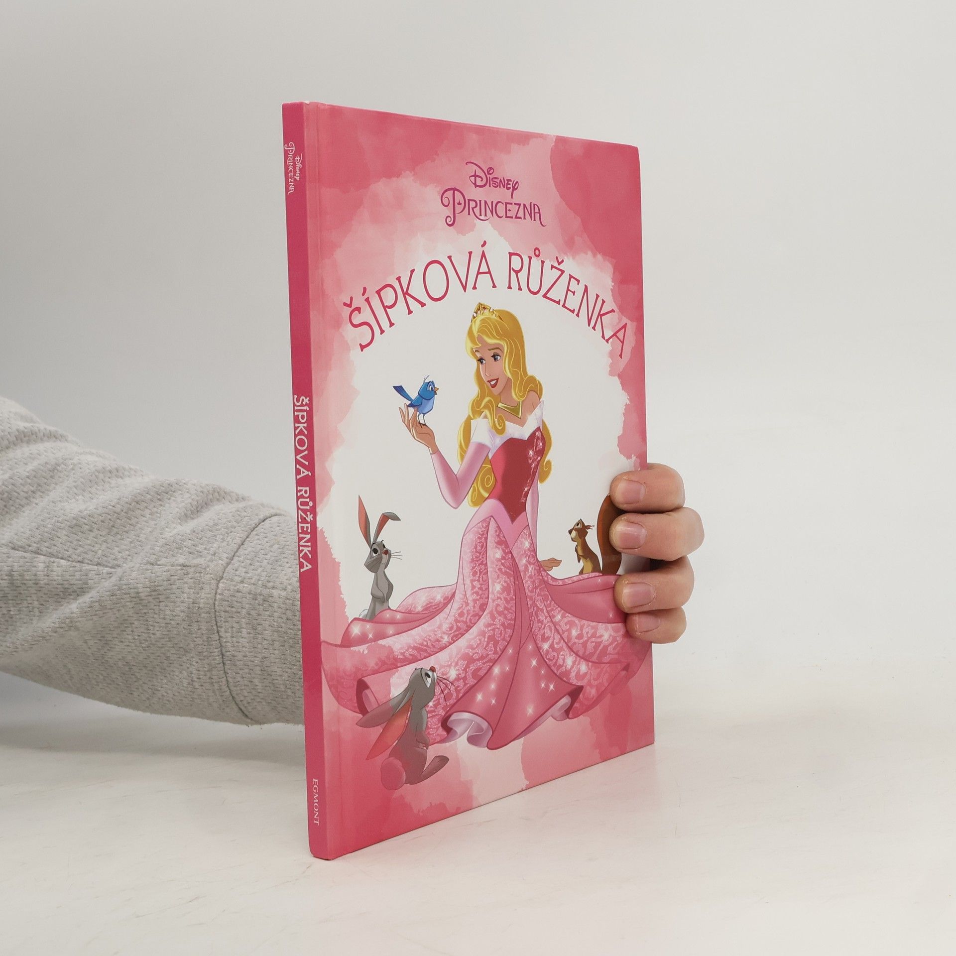 Disney Storybook Artists Šípková Růženka
