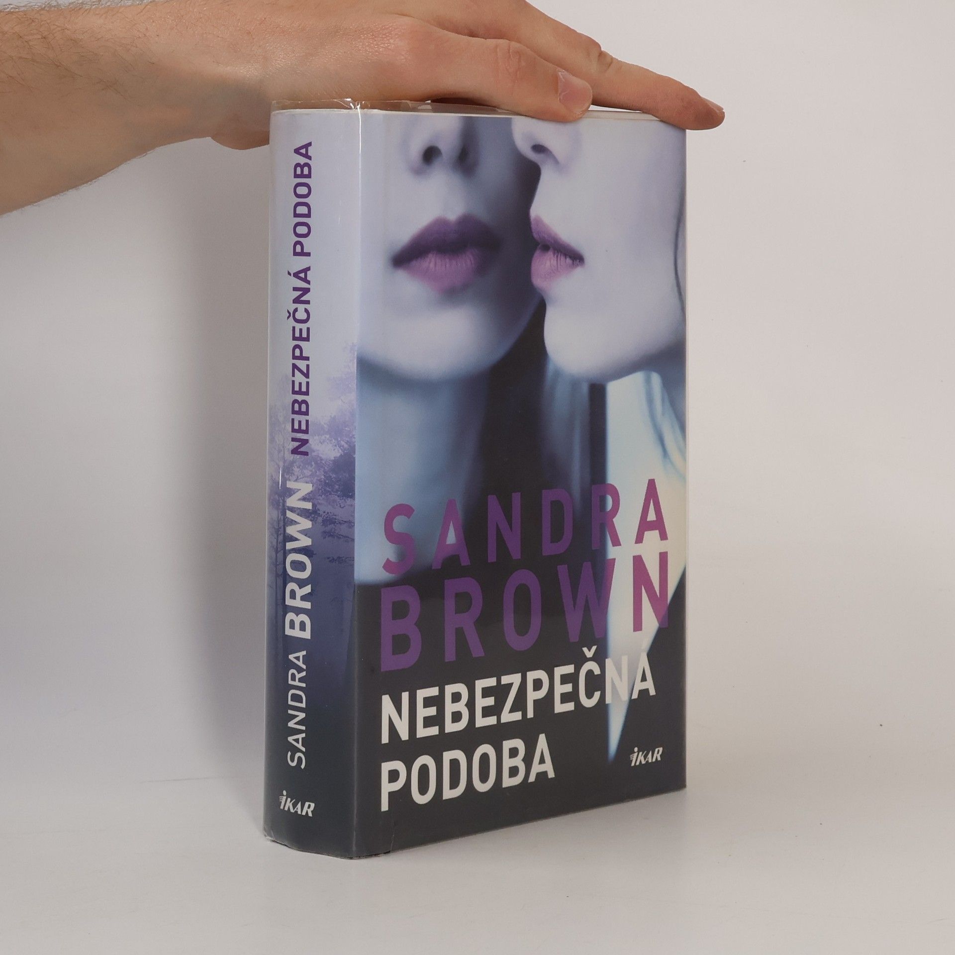 Sandra Brown Nebezpečná podoba