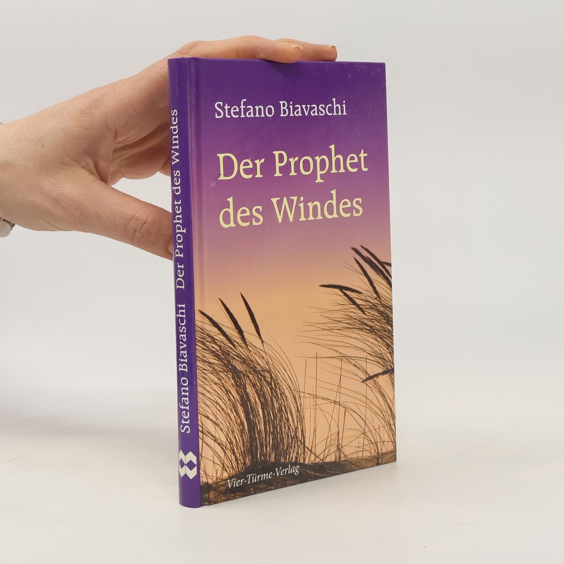 Stefano Biavaschi Der Prophet des Windes