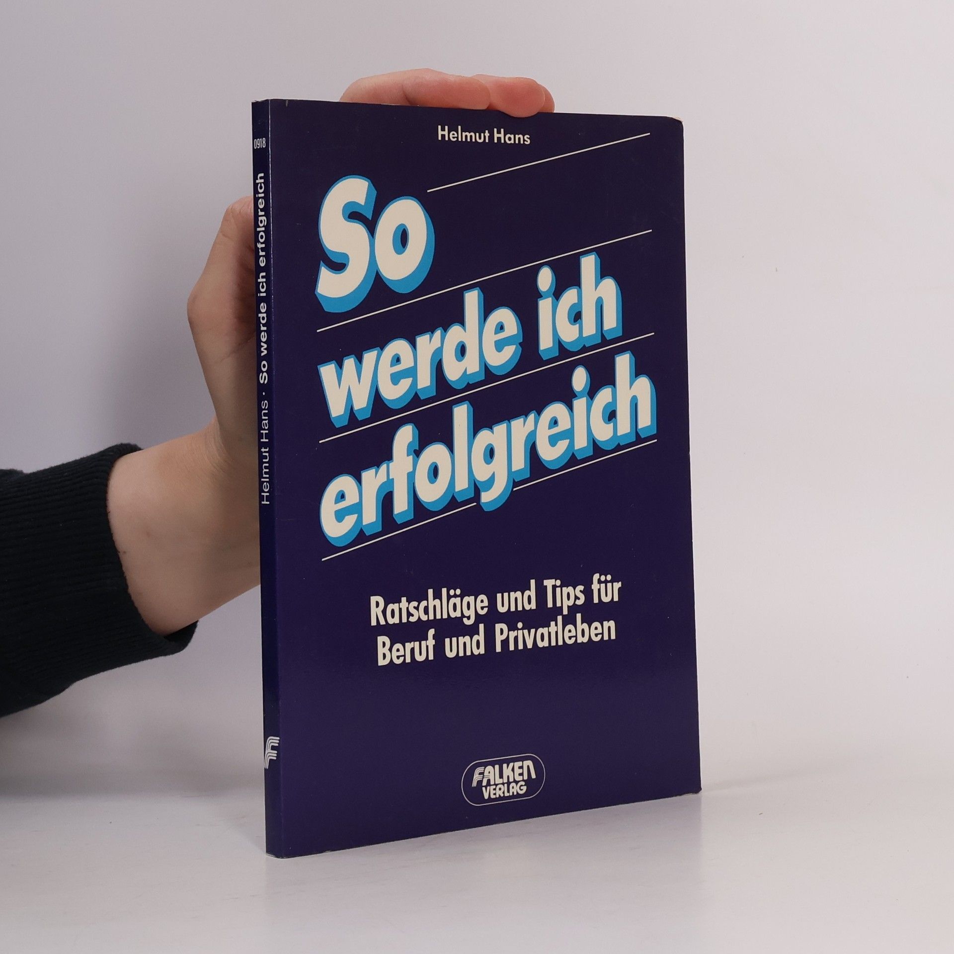 Hans-Helmut Schulte So werde ich erfolgreich