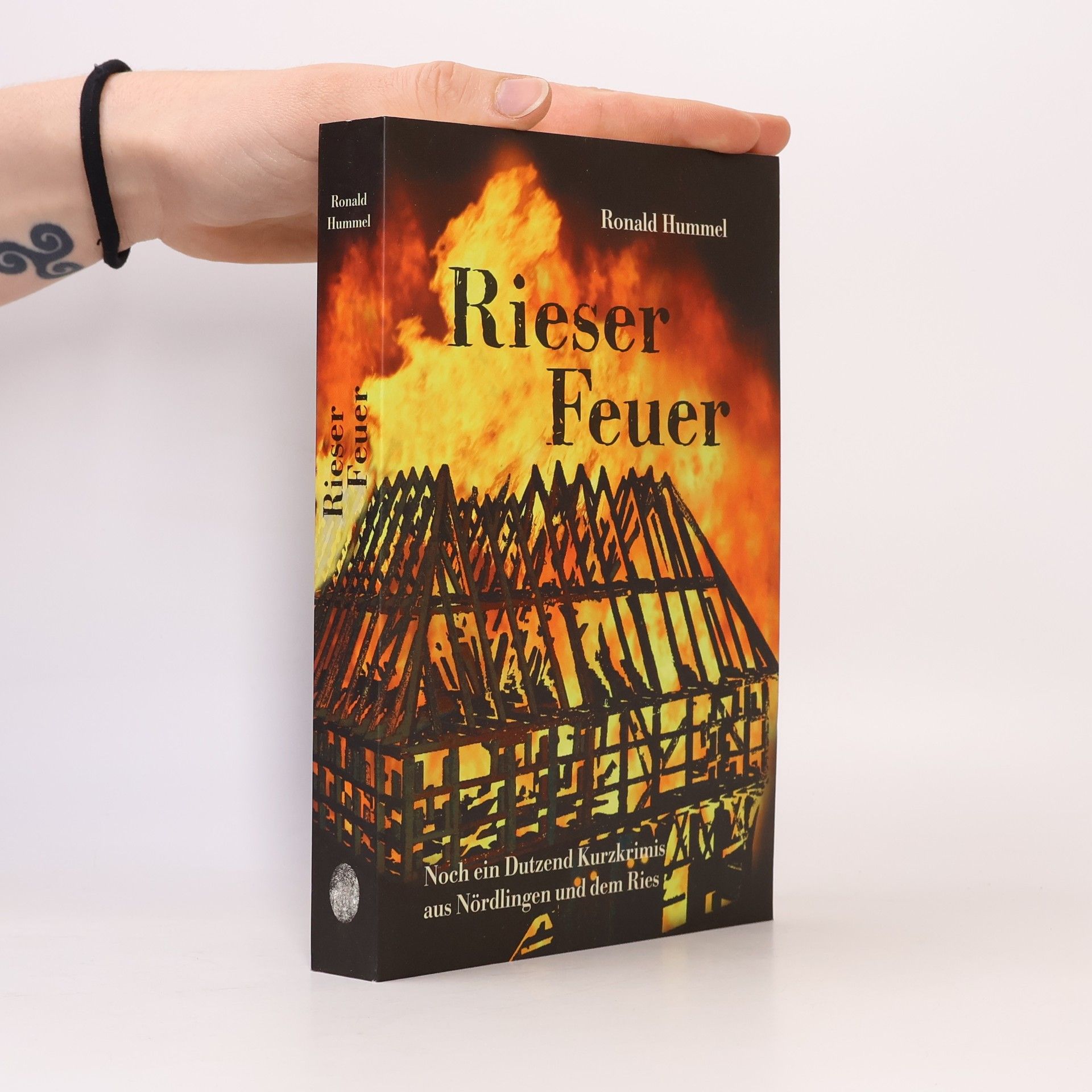 Rieser Feuer. Noch ein Dutzend Kurzkrimis aus Nördlingen und dem Ries