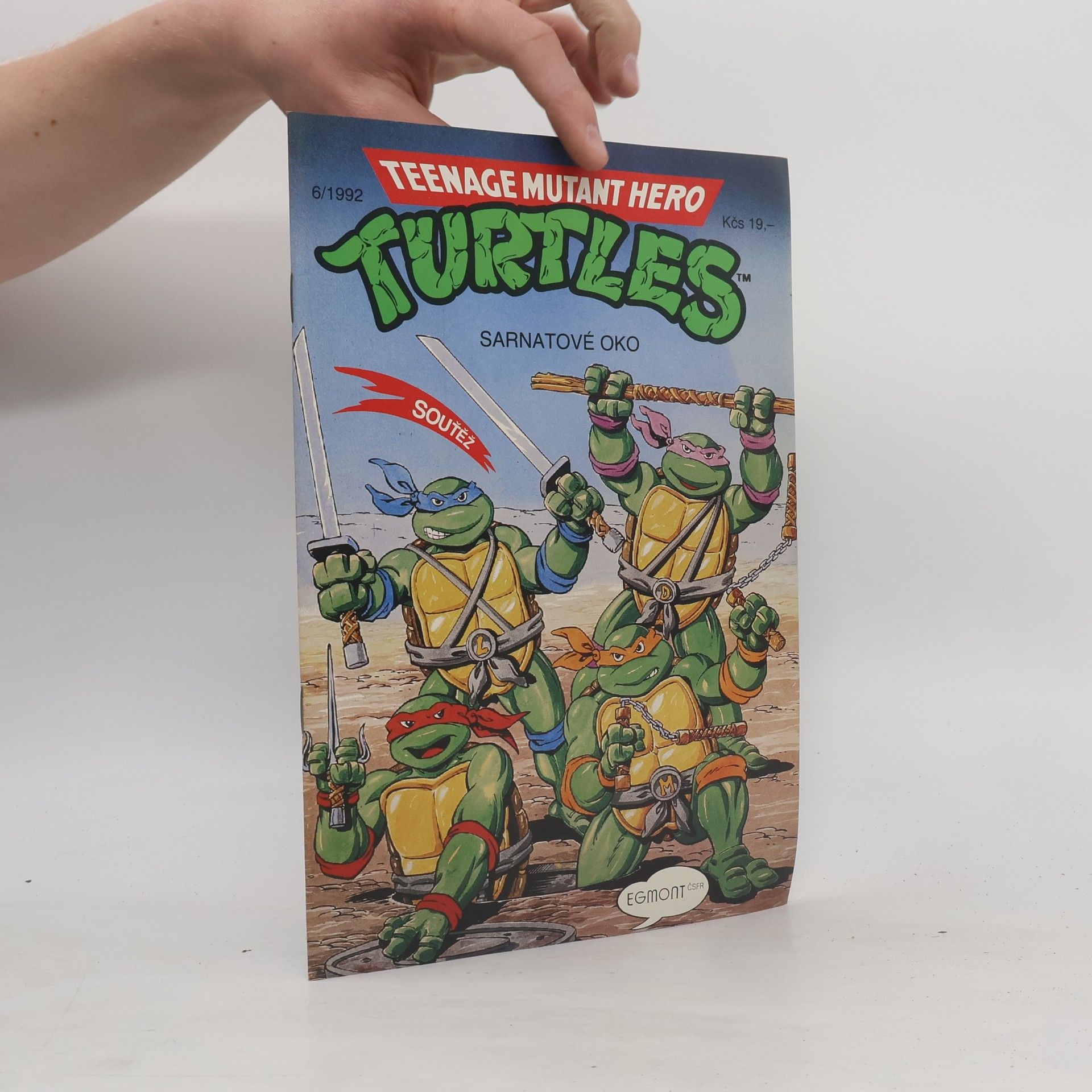 Beth Mitchroney Teenage Mutant Hero Turtles #06