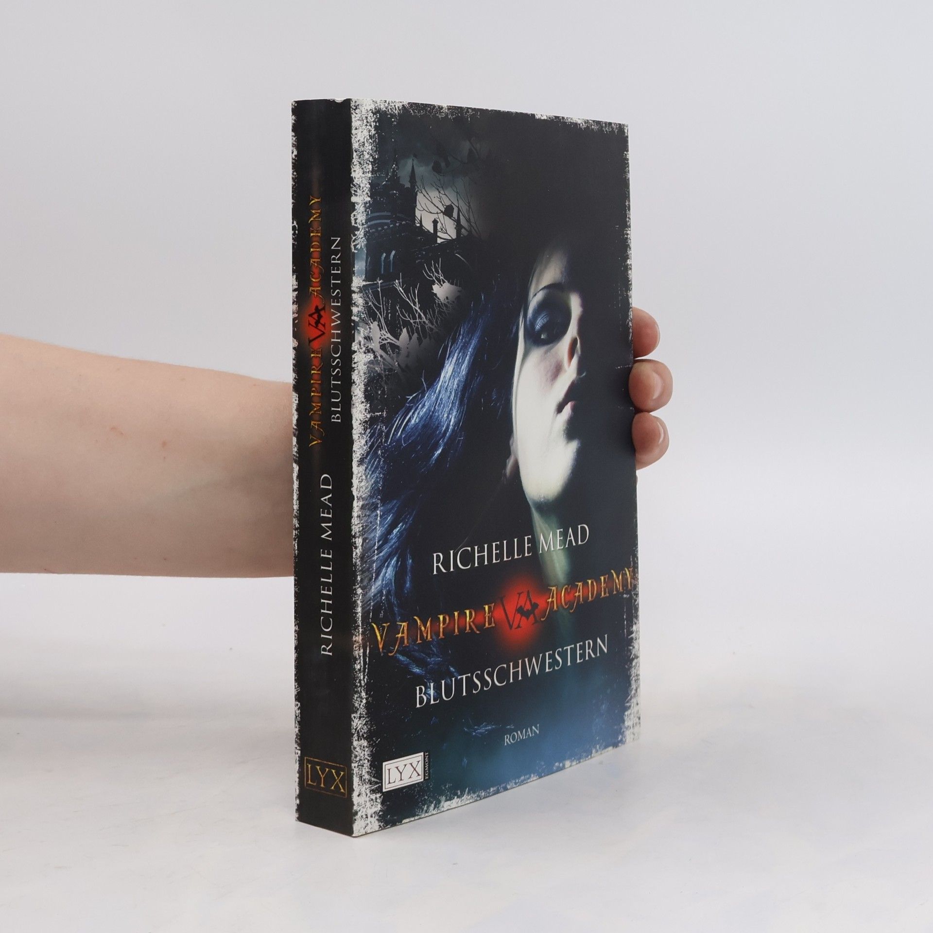 Richelle Mead Vampire Academy