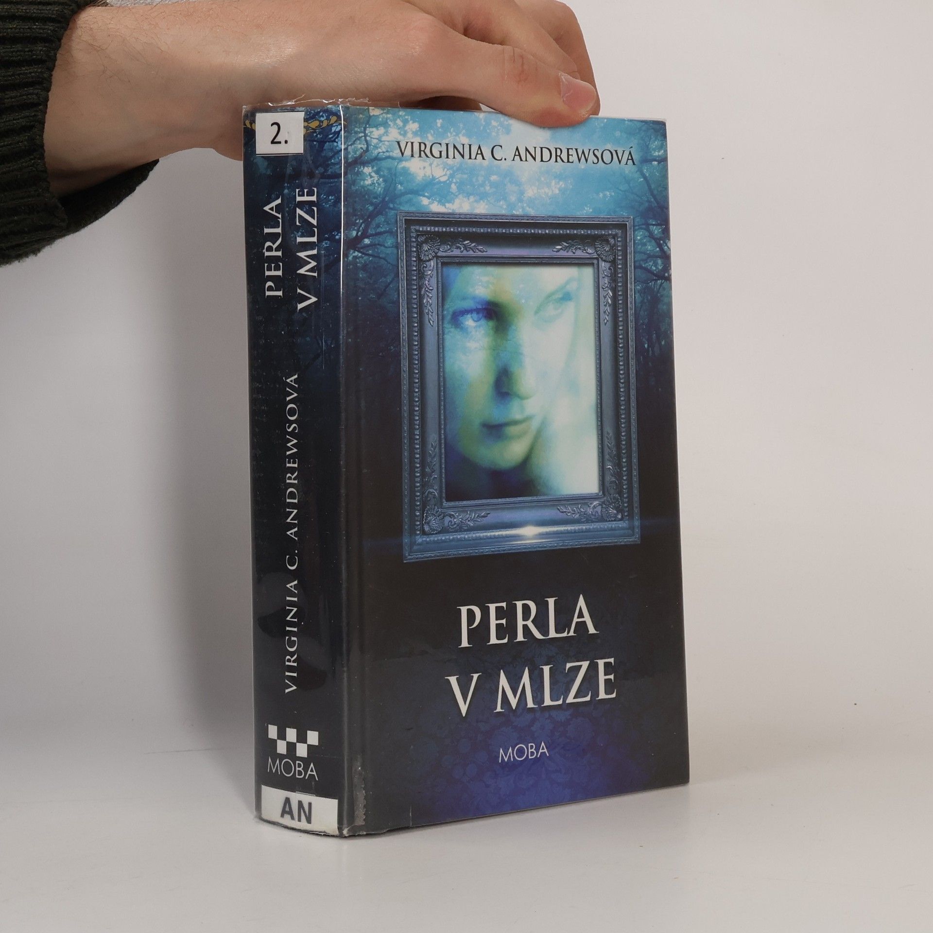 Virginia Cleo Andrews Perla v mlze