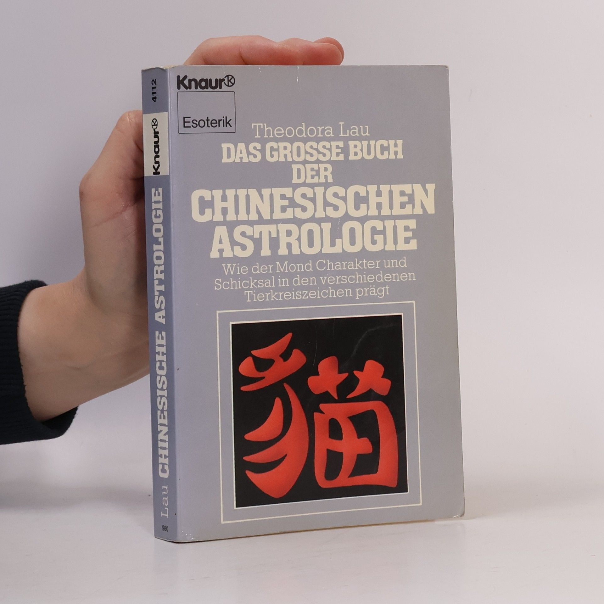 Das grosse Buch der chinesischen Astrologie