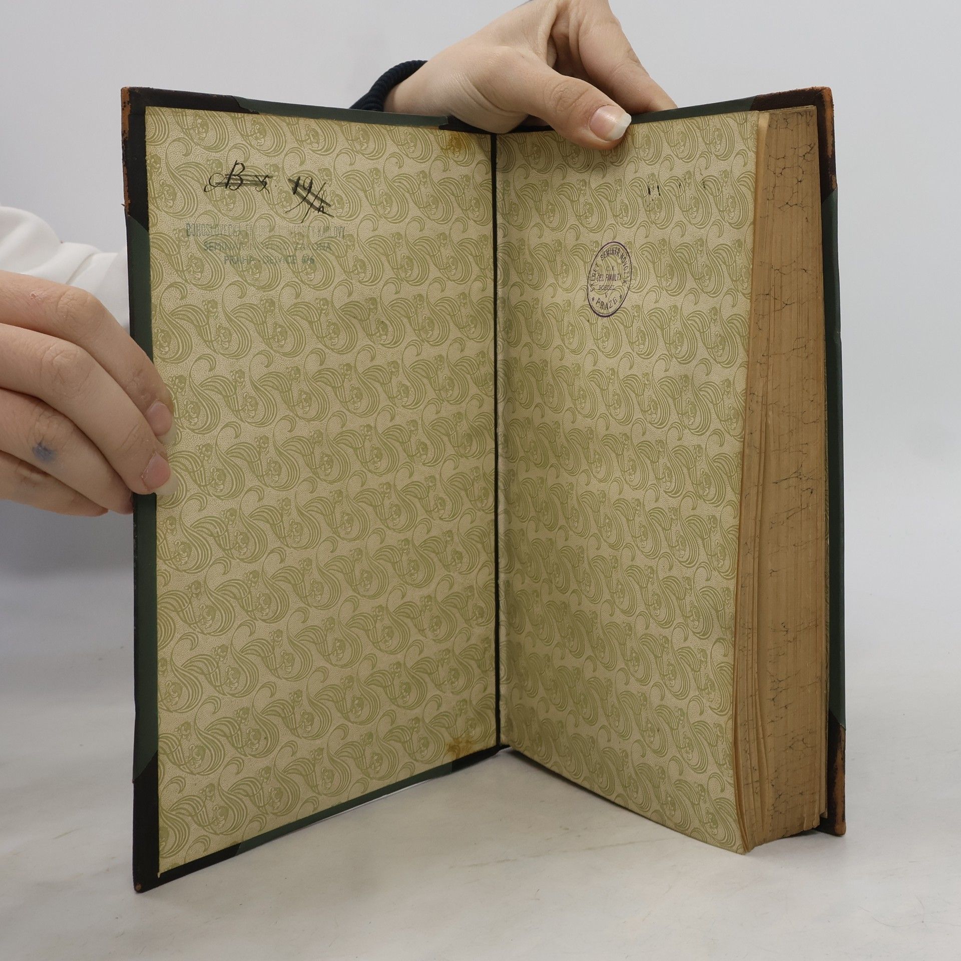Autorenkollektiv Cursus Scripturae Sacrae