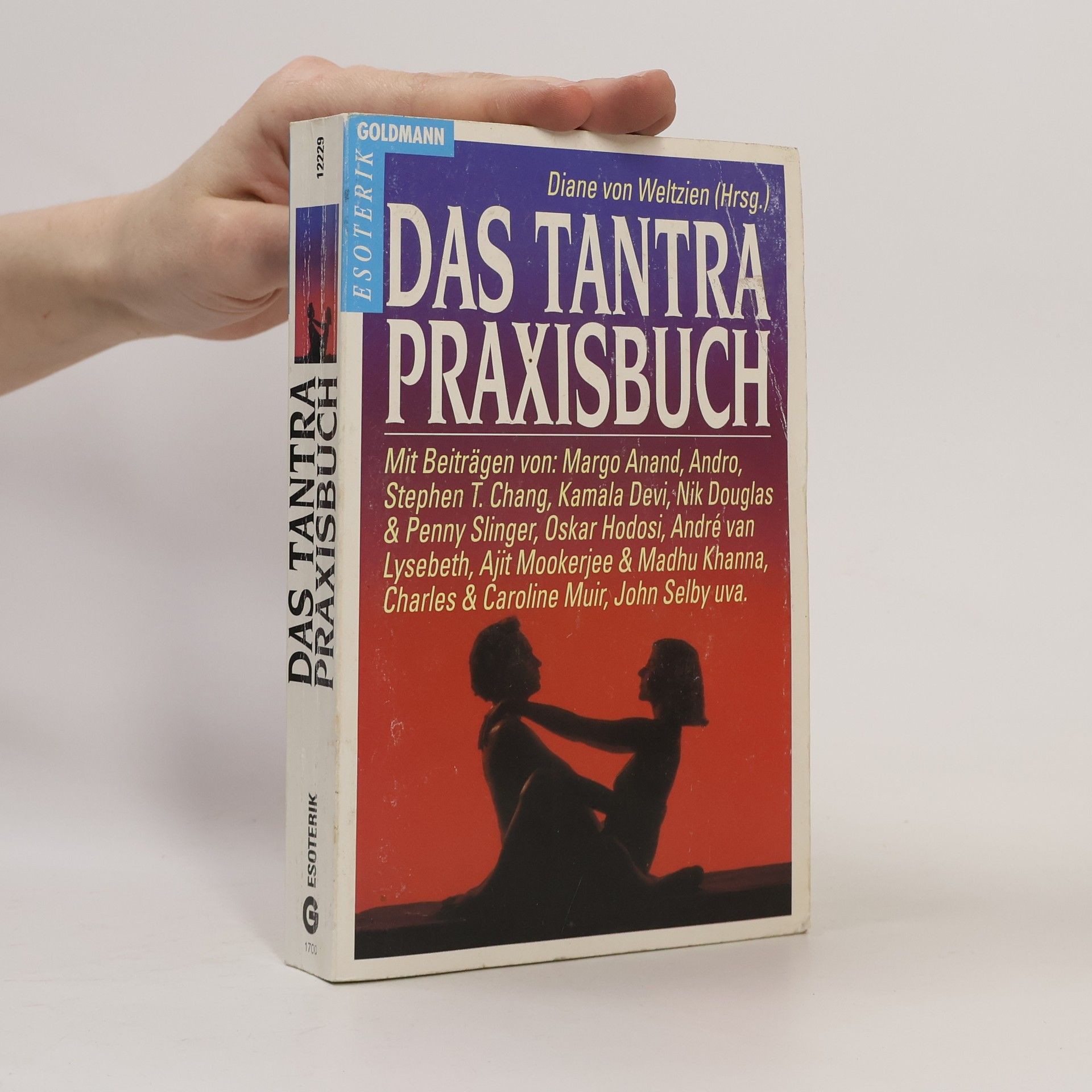 Das Tantra-Praxisbuch