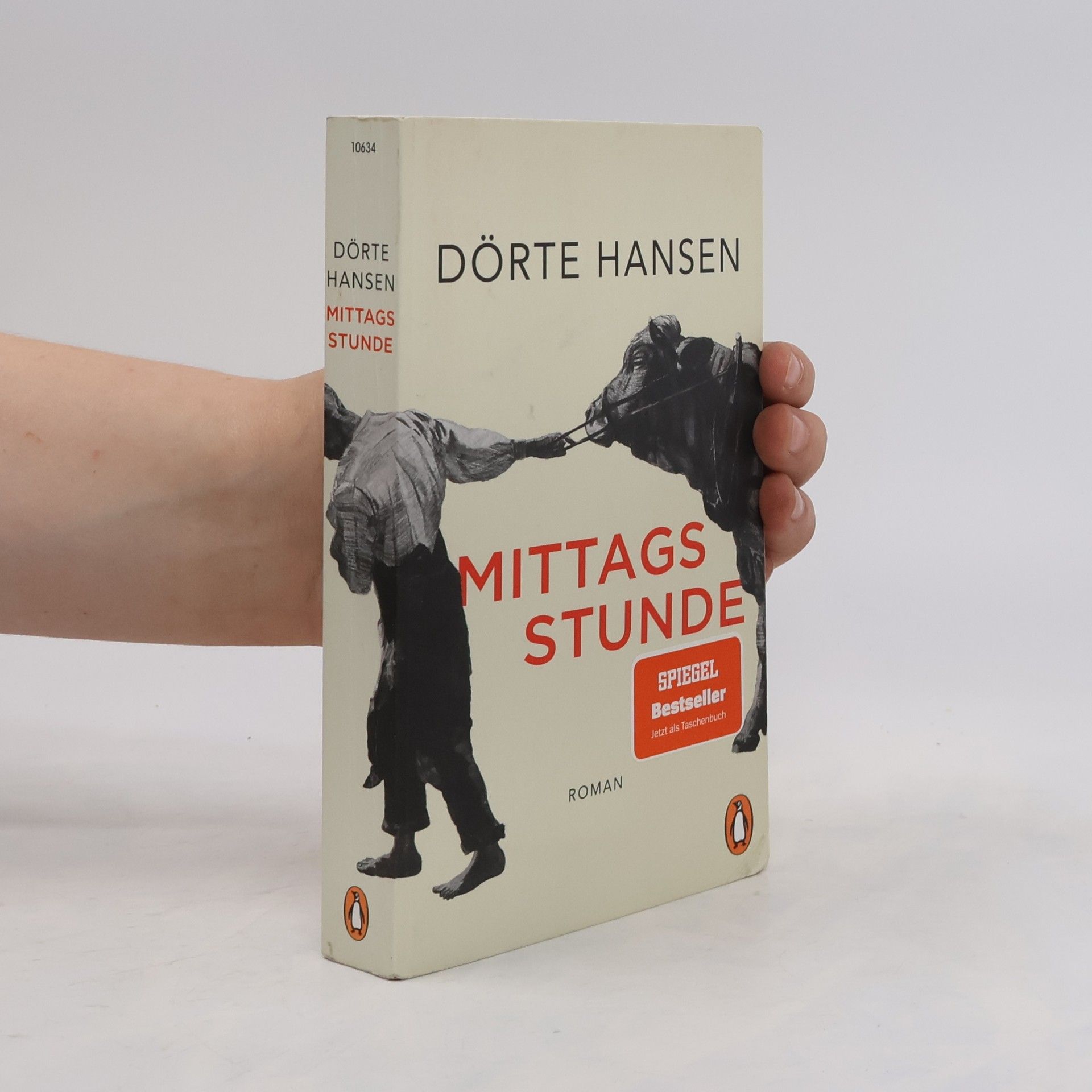 Dörte Hansen Mittagsstunde
