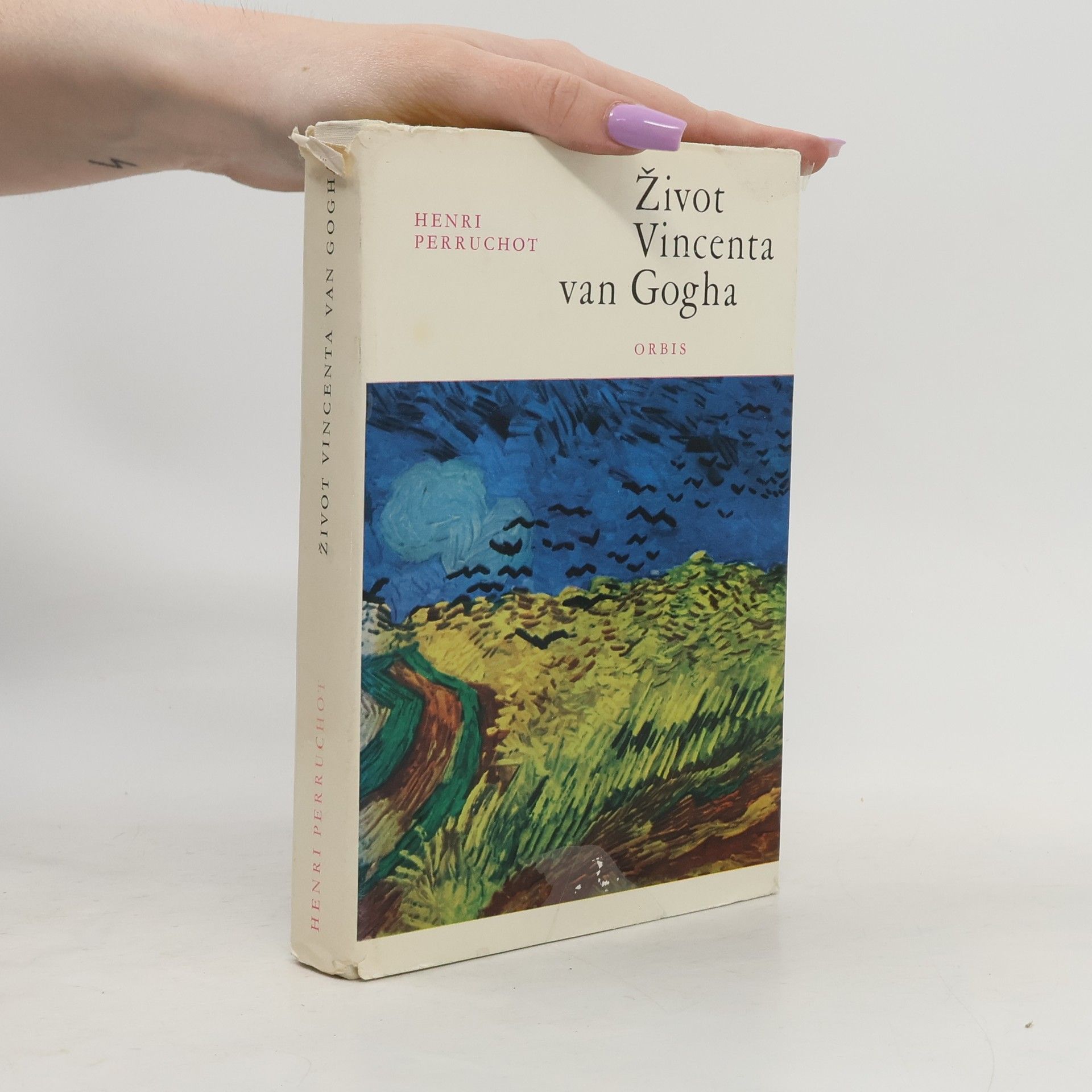 Henri Perruchot Život Vincenta van Gogha