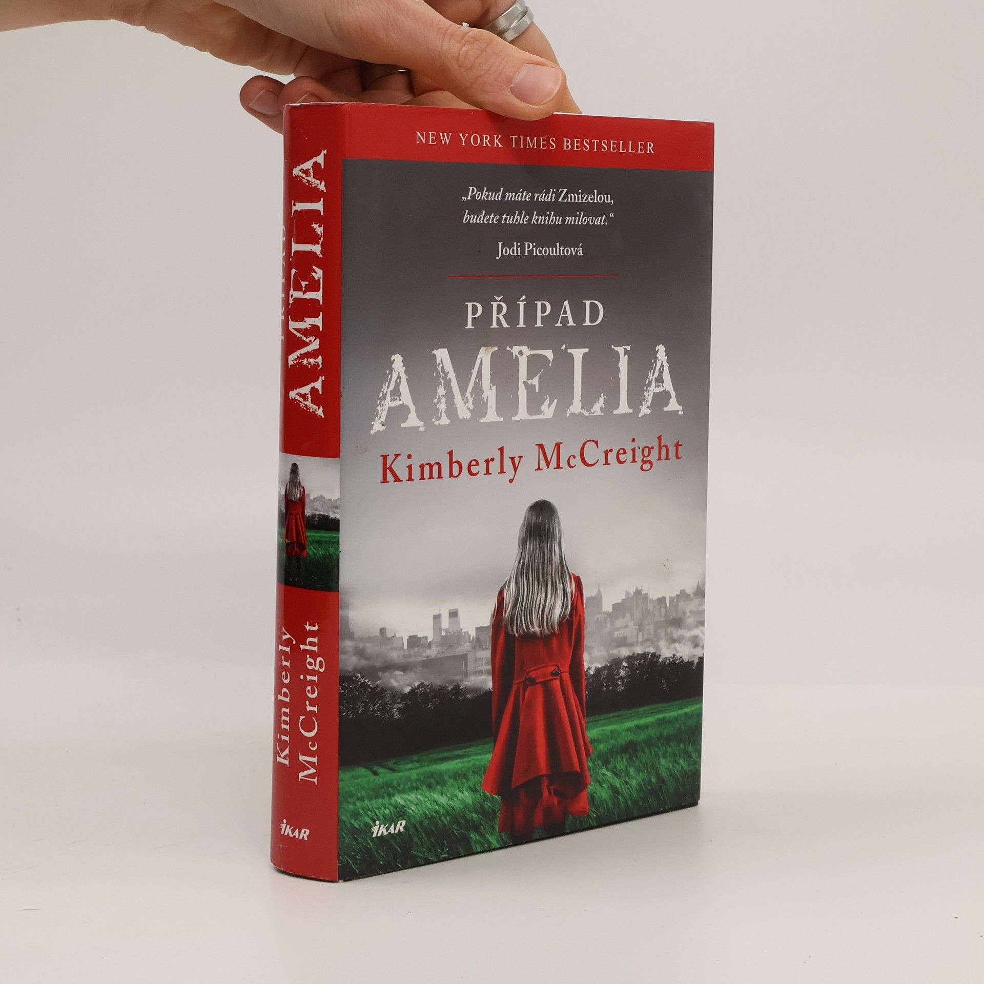 Kimberly McCreight Případ Amelia