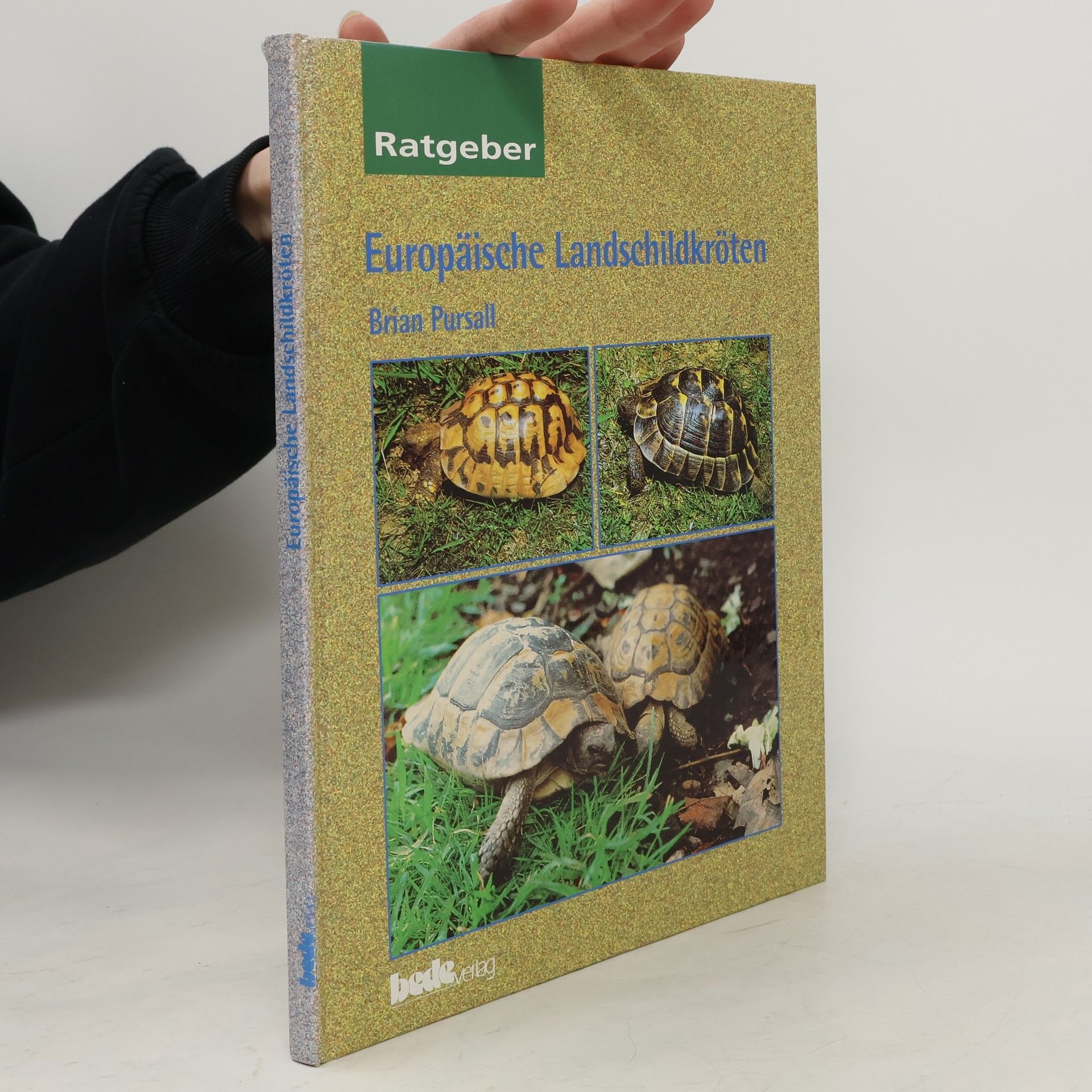 Brian Pursall Landschildkröten