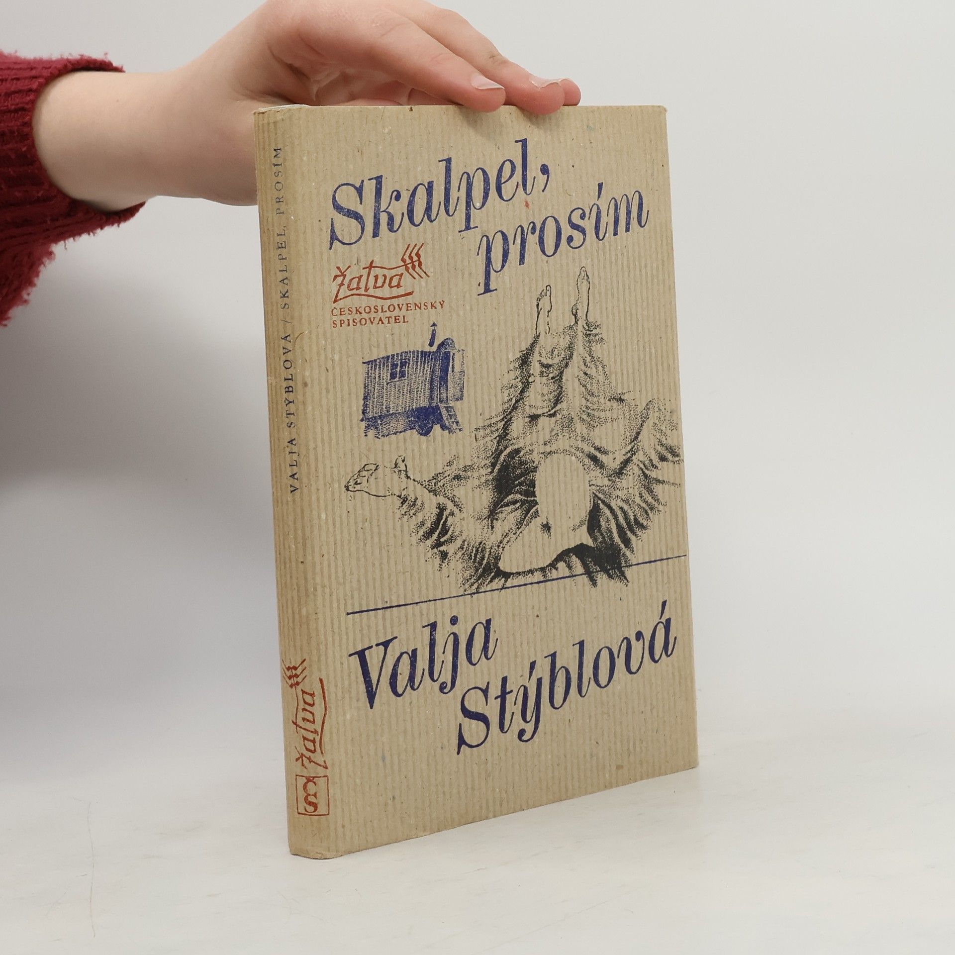 Valja Stýblová Skalpel, prosím