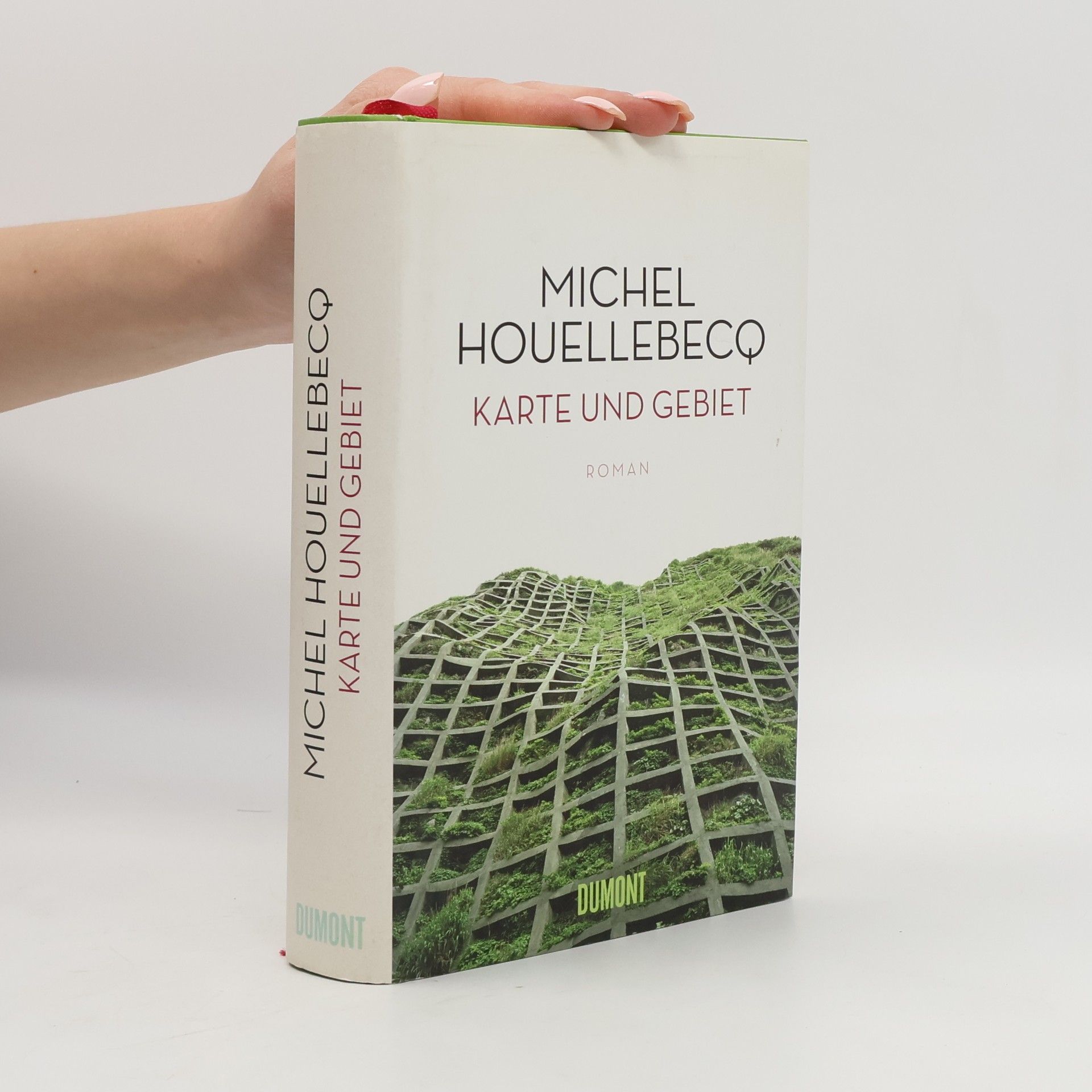 Michel Houellebecq Karte und Gebiet