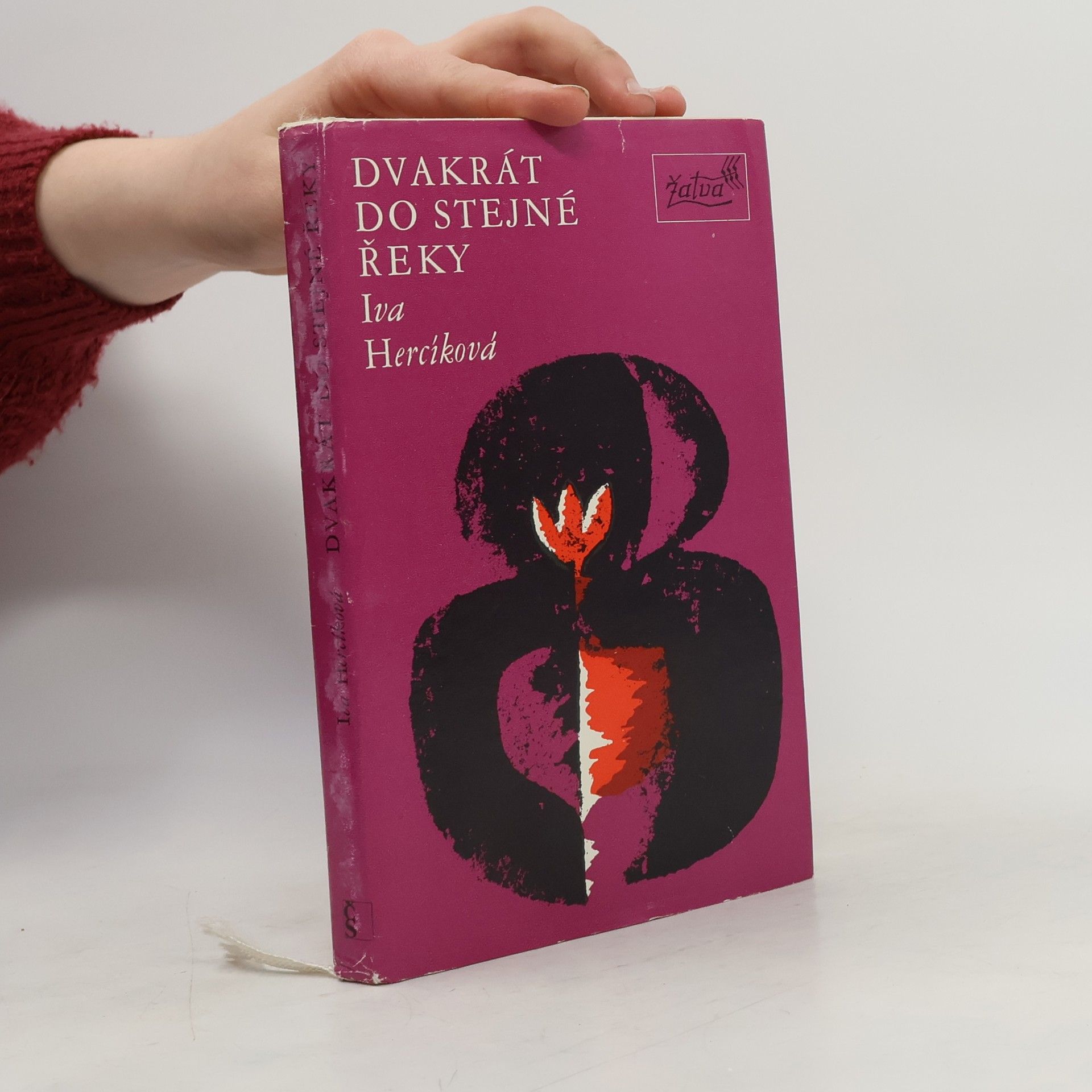 Iva Hercíková Dvakrát do stejné řeky