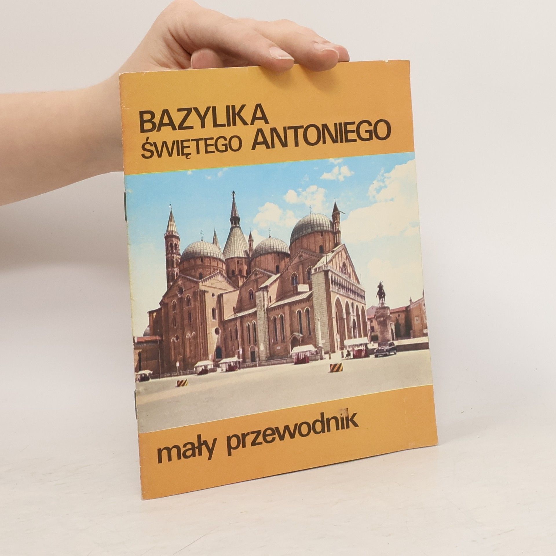 Kolektiv autorů Kuszenie świętego Antoniego