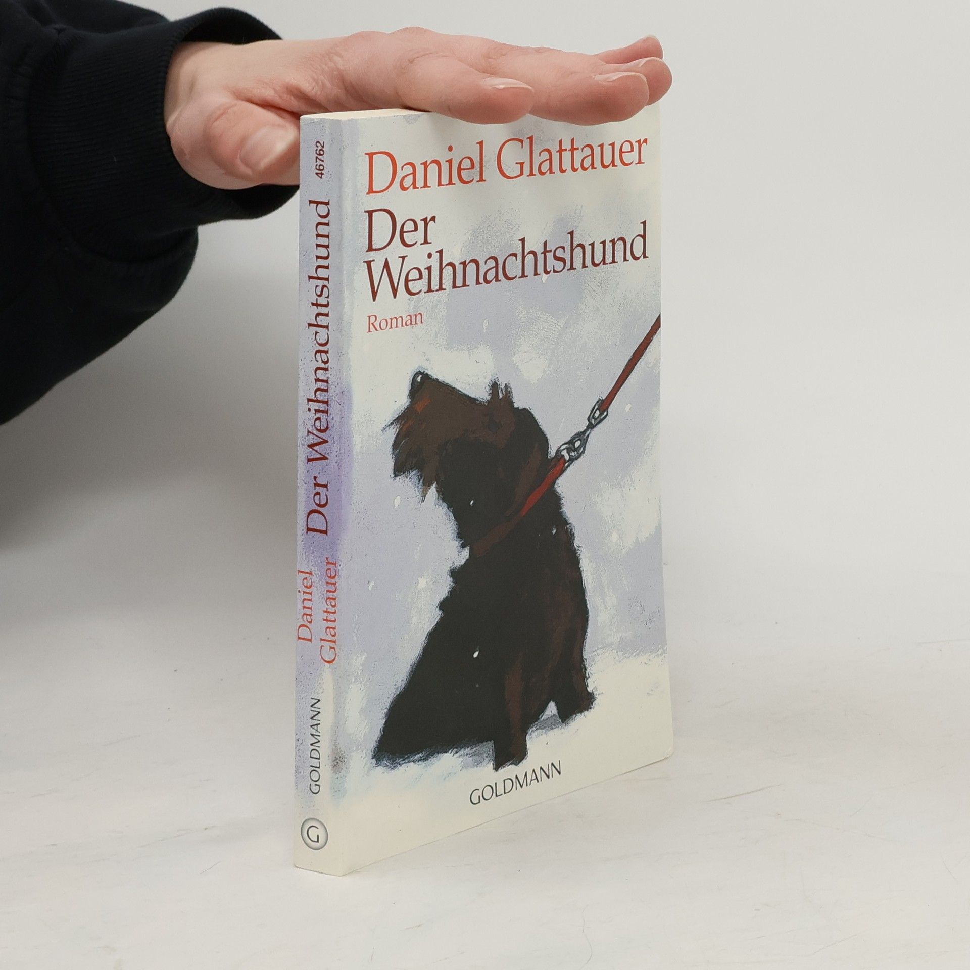 Daniel Glattauer Der Weihnachtshund