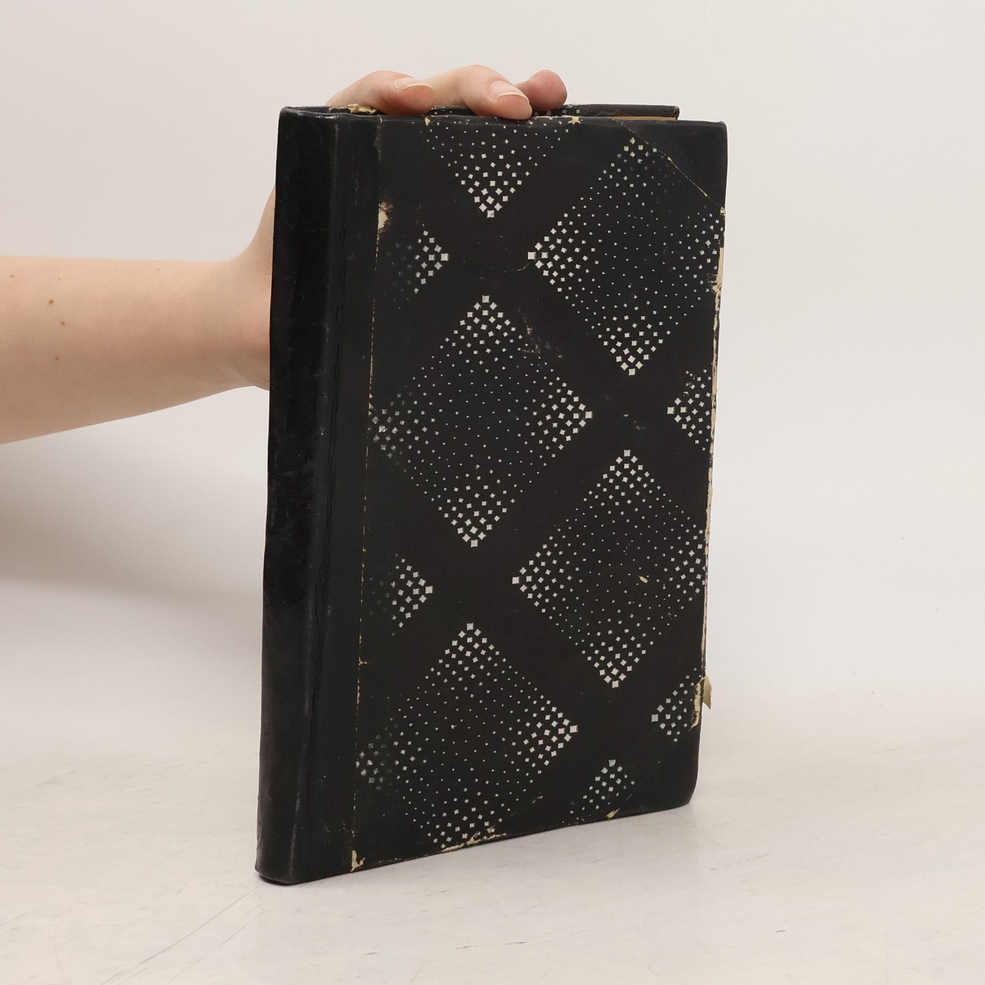 Hardy Schilgen Ty a ona