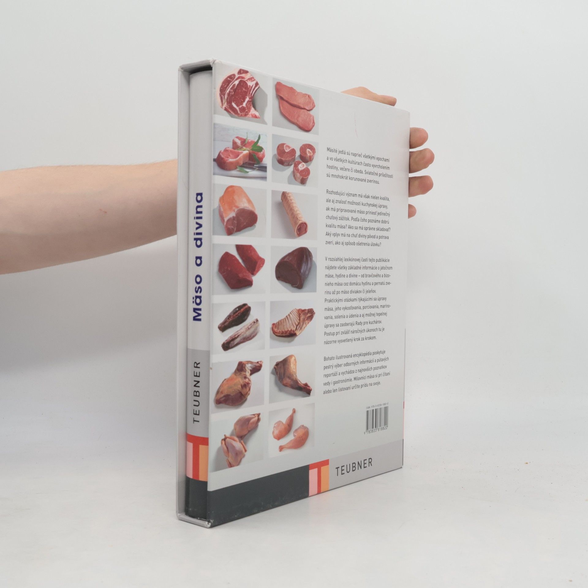 Kolektiv autorů Mäso a divina