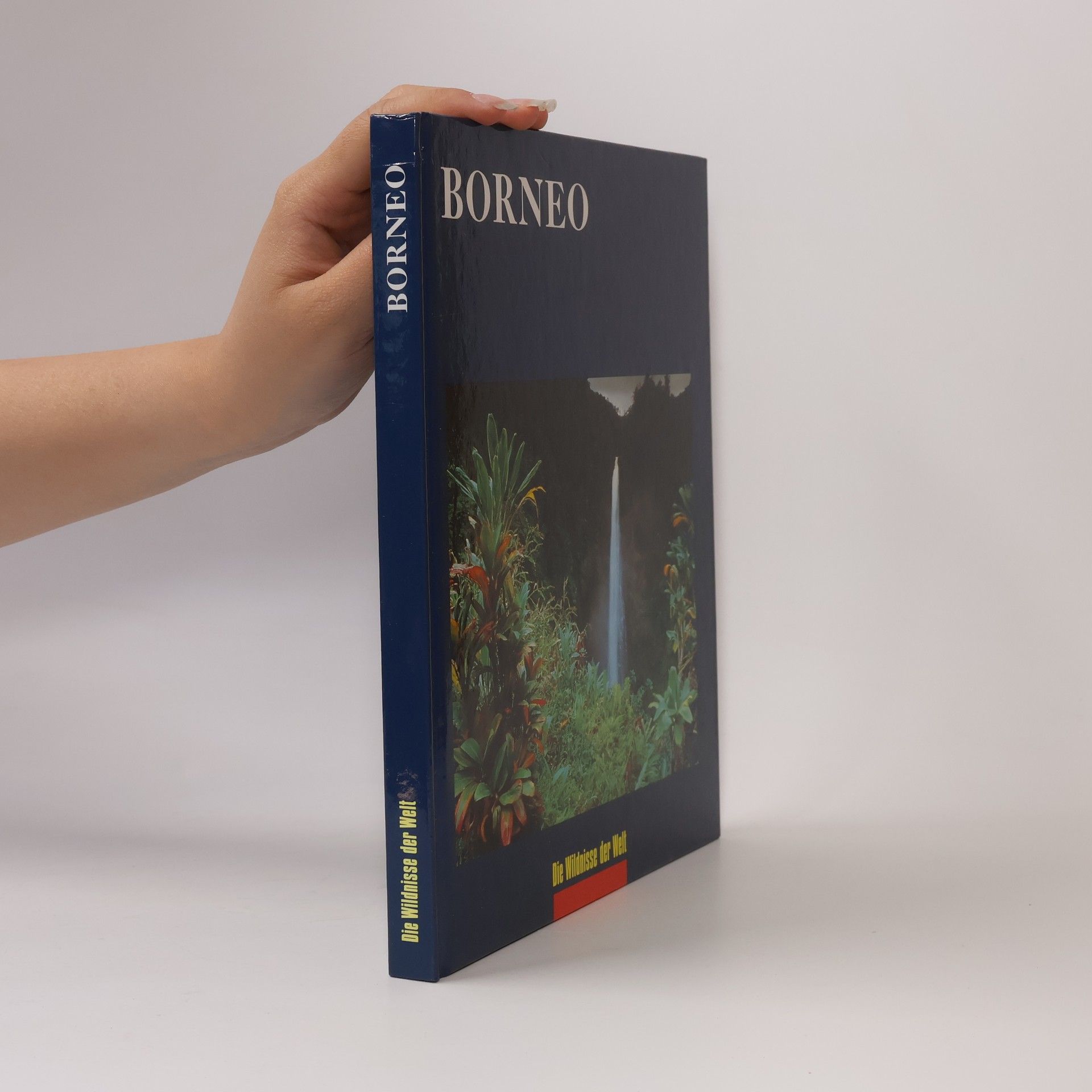 Borneo. Die Wildnisse der Welt