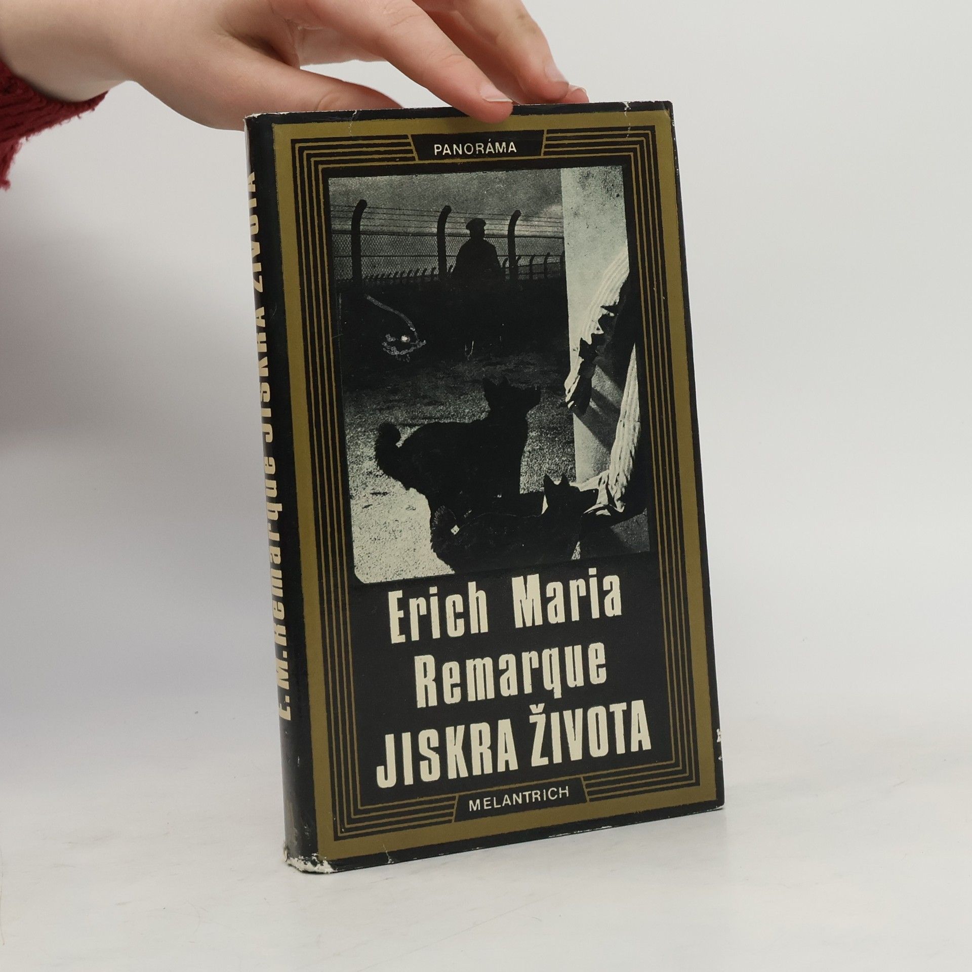 Erich Maria Remarque Jiskra života
