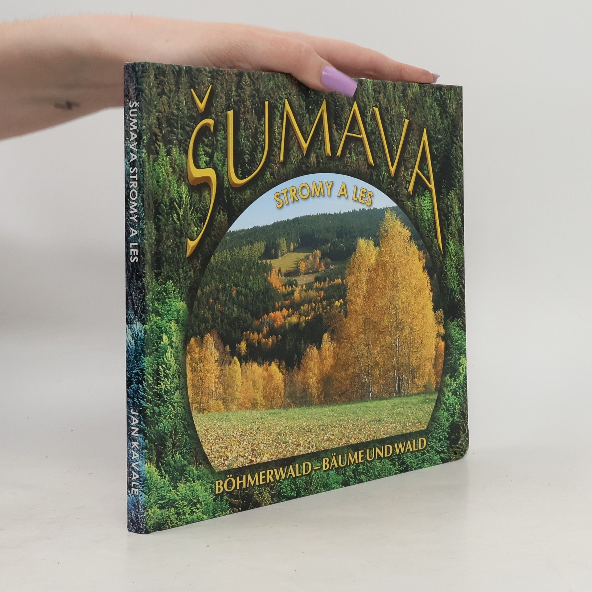 Jan Kavale Šumava. Stromy a les. Böhmerwald. Bäume und Wald
