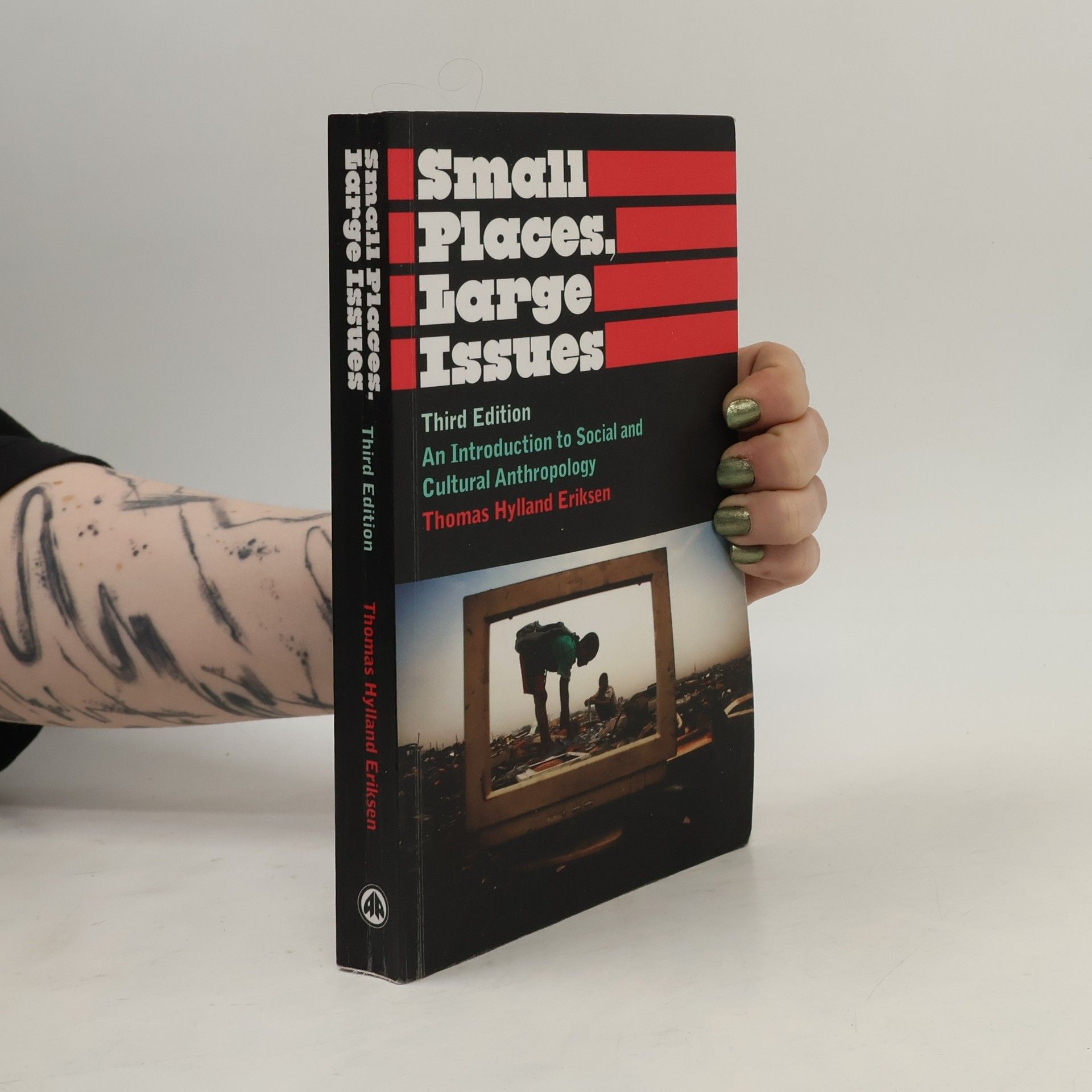 Thomas Hylland Eriksen Small Places, Large Issues