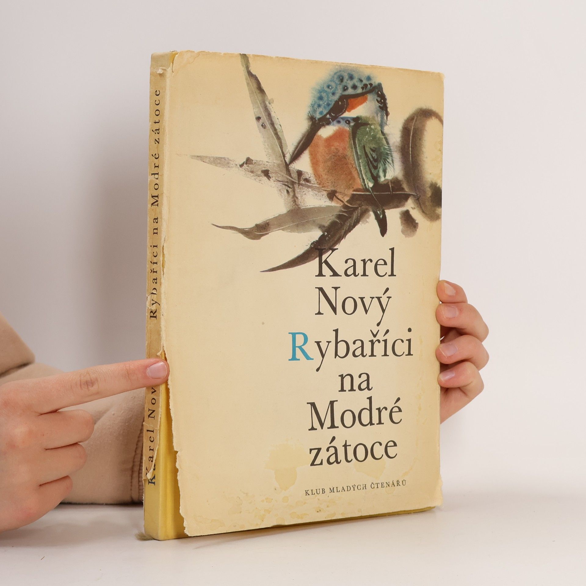 Karel Nový Rybaříci na Modré zátoce