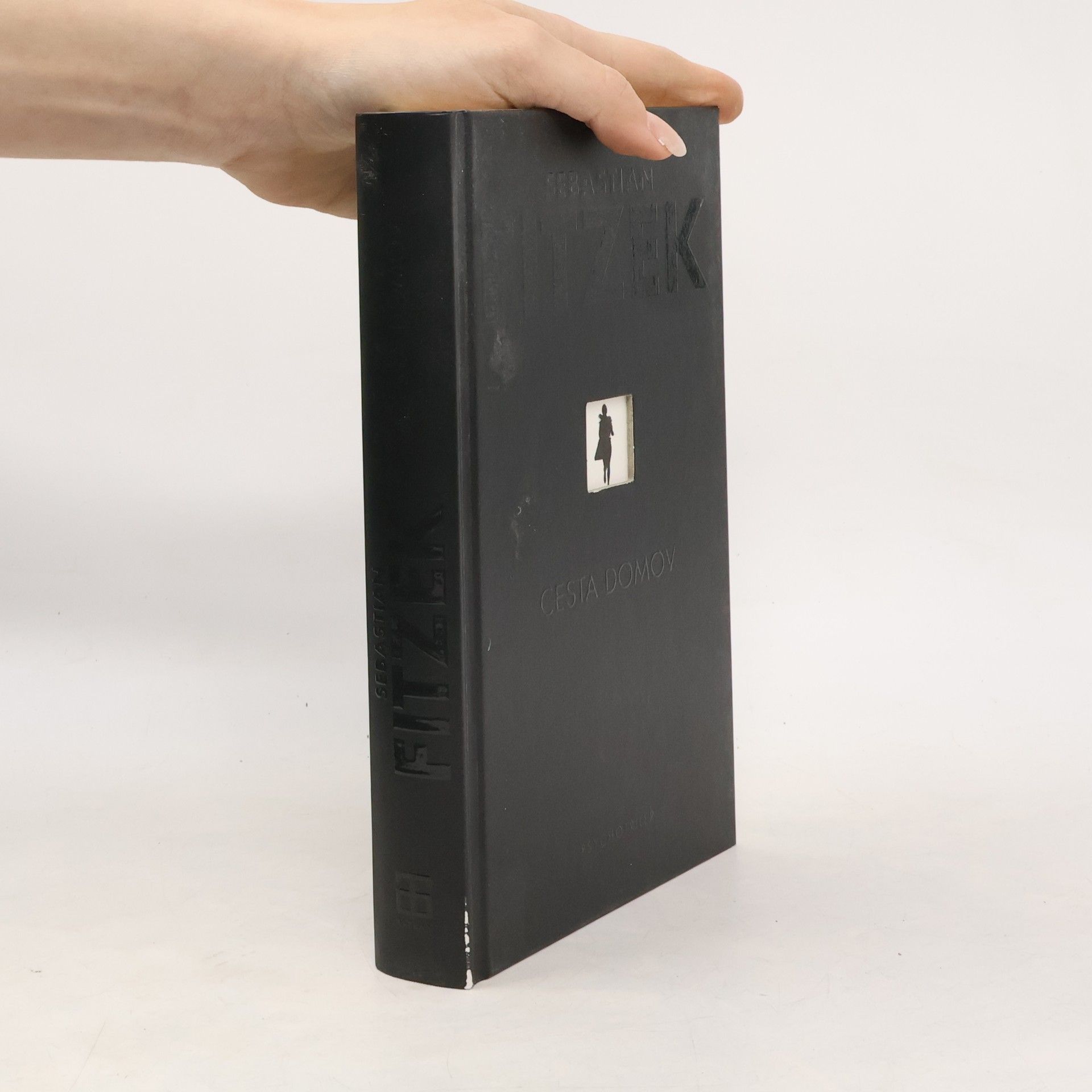 Sebastian Fitzek Cesta domov