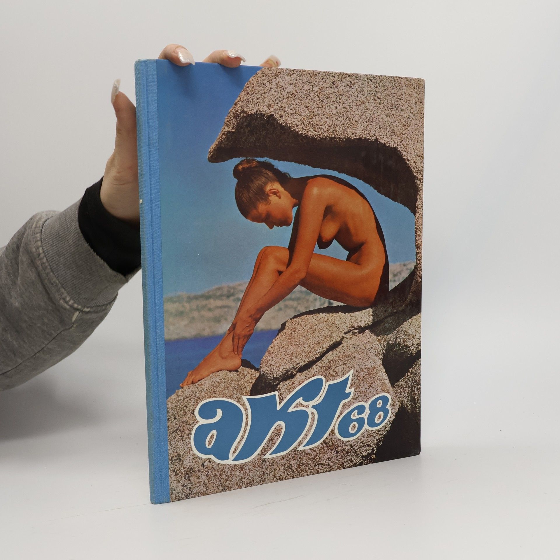 Autorenkollektiv Akt 68