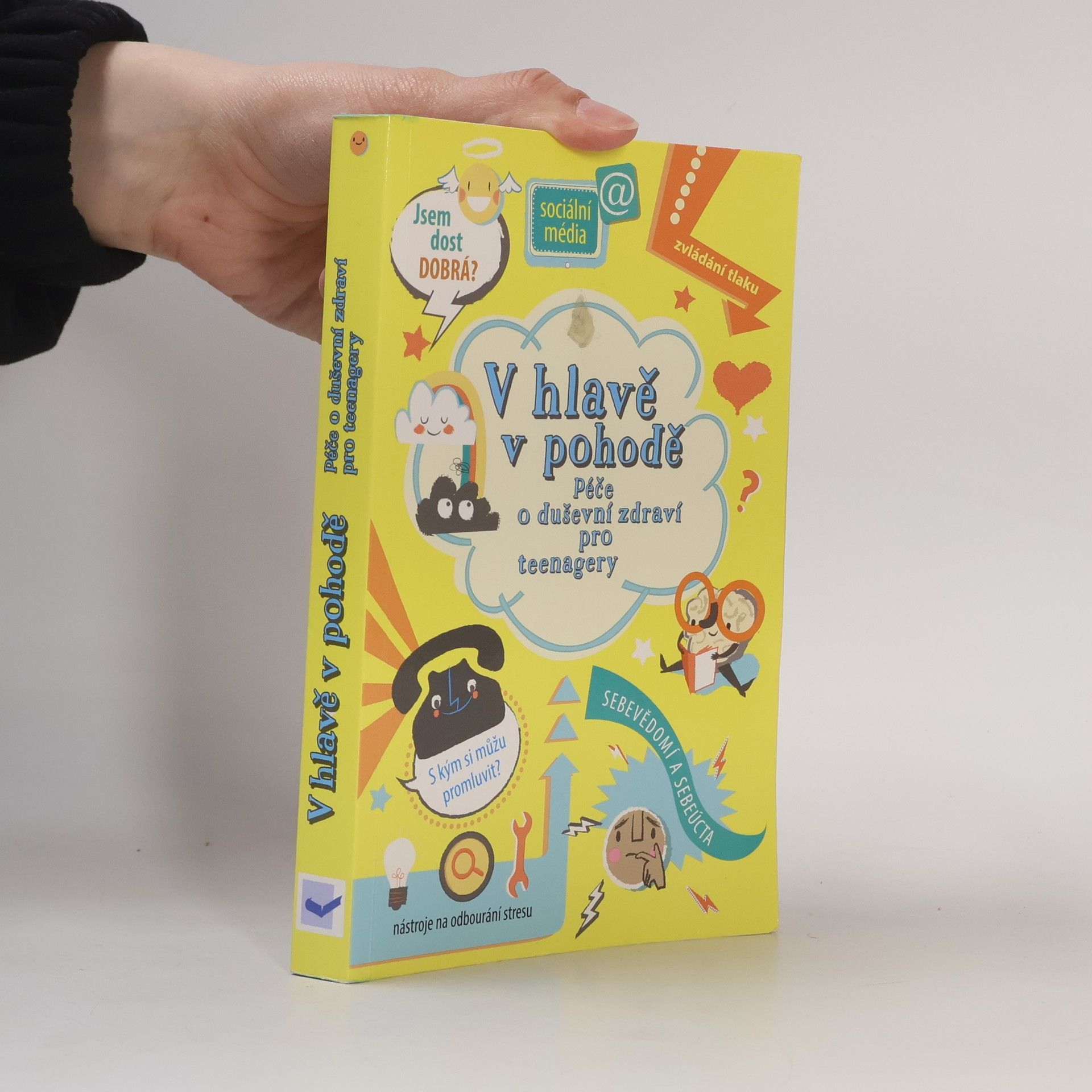 Louie Stowell V hlavě v pohodě : péče o duševní zdraví pro teenagery