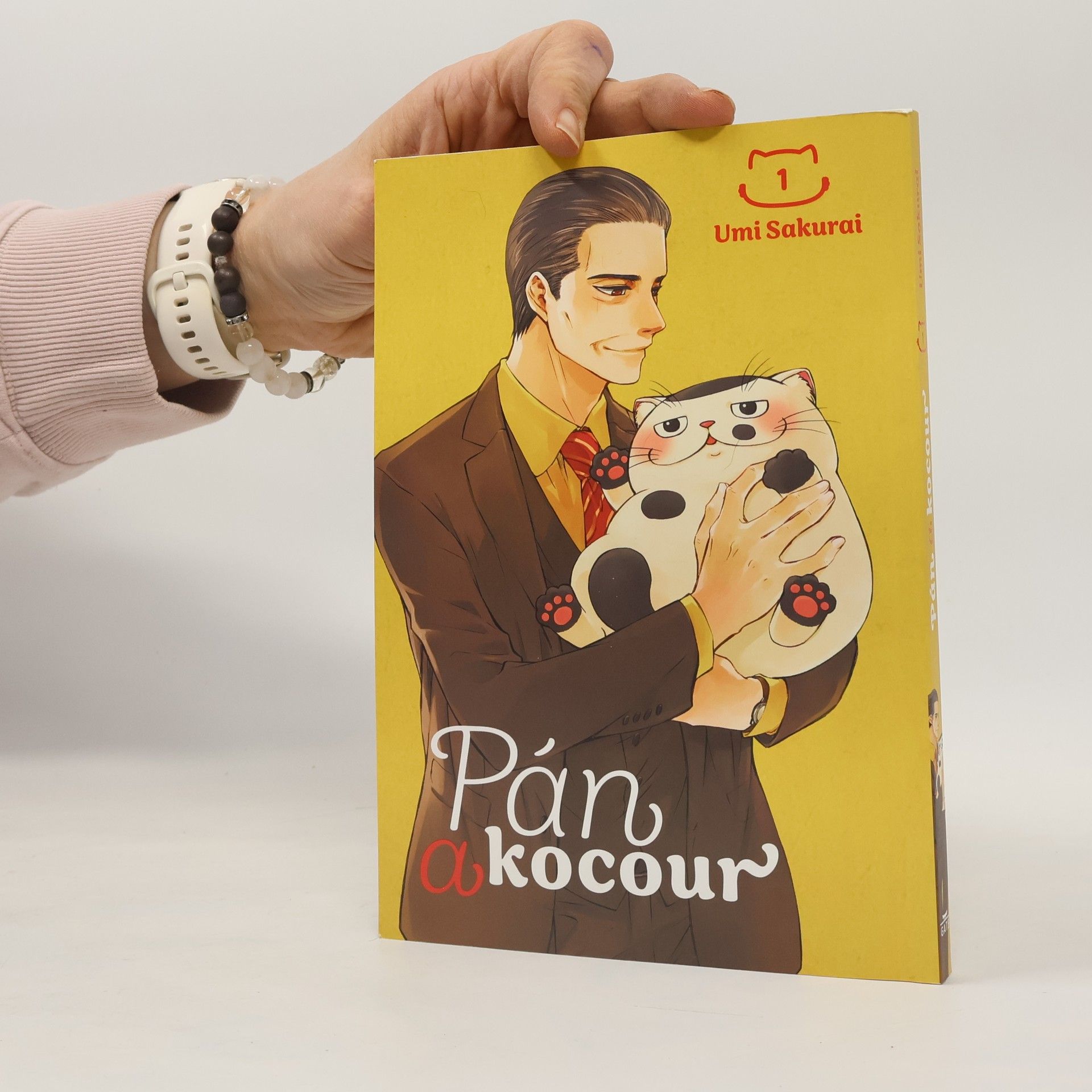 Umi Sakurai Pán a kocour 1