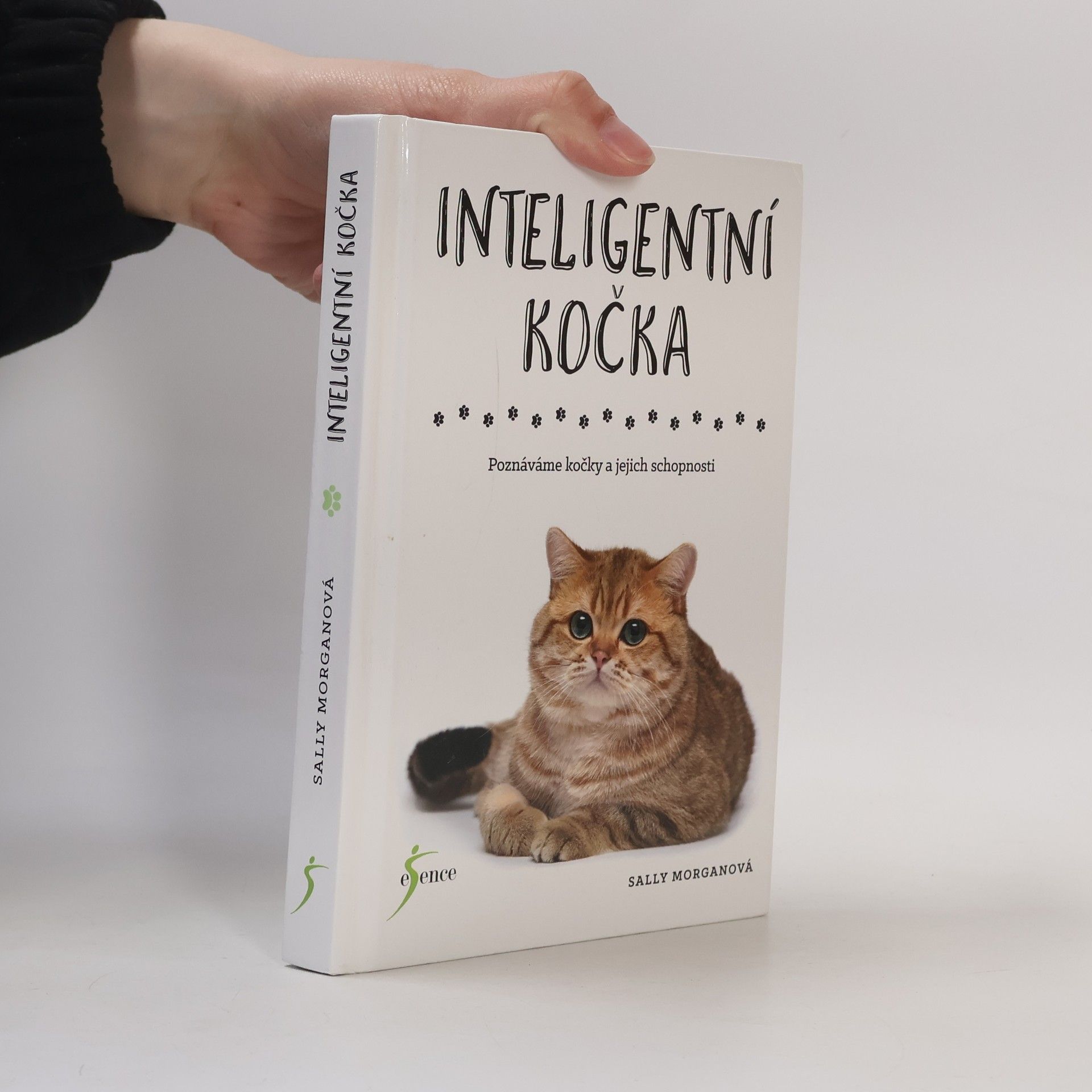Sally Morgan Inteligentní kočka : poznáváme kočky a jejich schopnosti