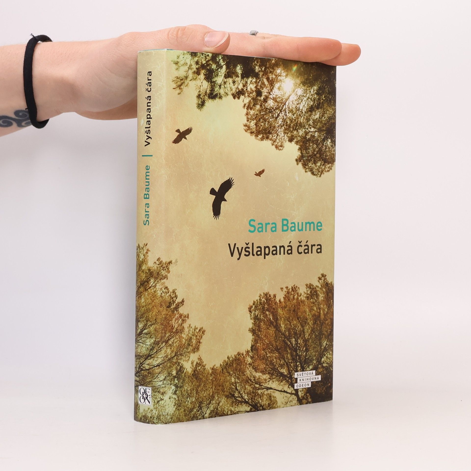 Sara Baume Vyšlapaná čára
