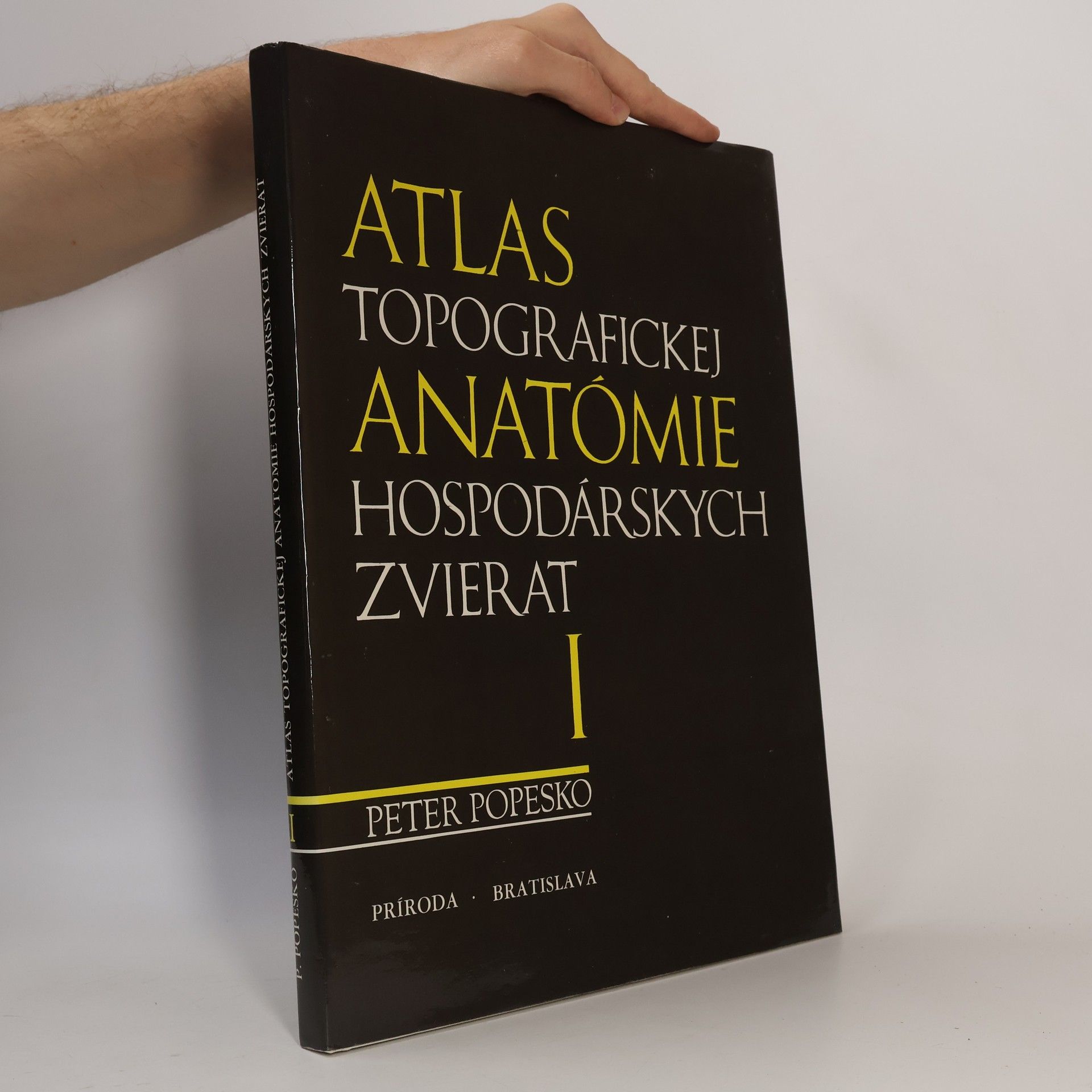 Atlas topografickej anatómie hospodárskych zvierat. I. diel -Hlava a krk